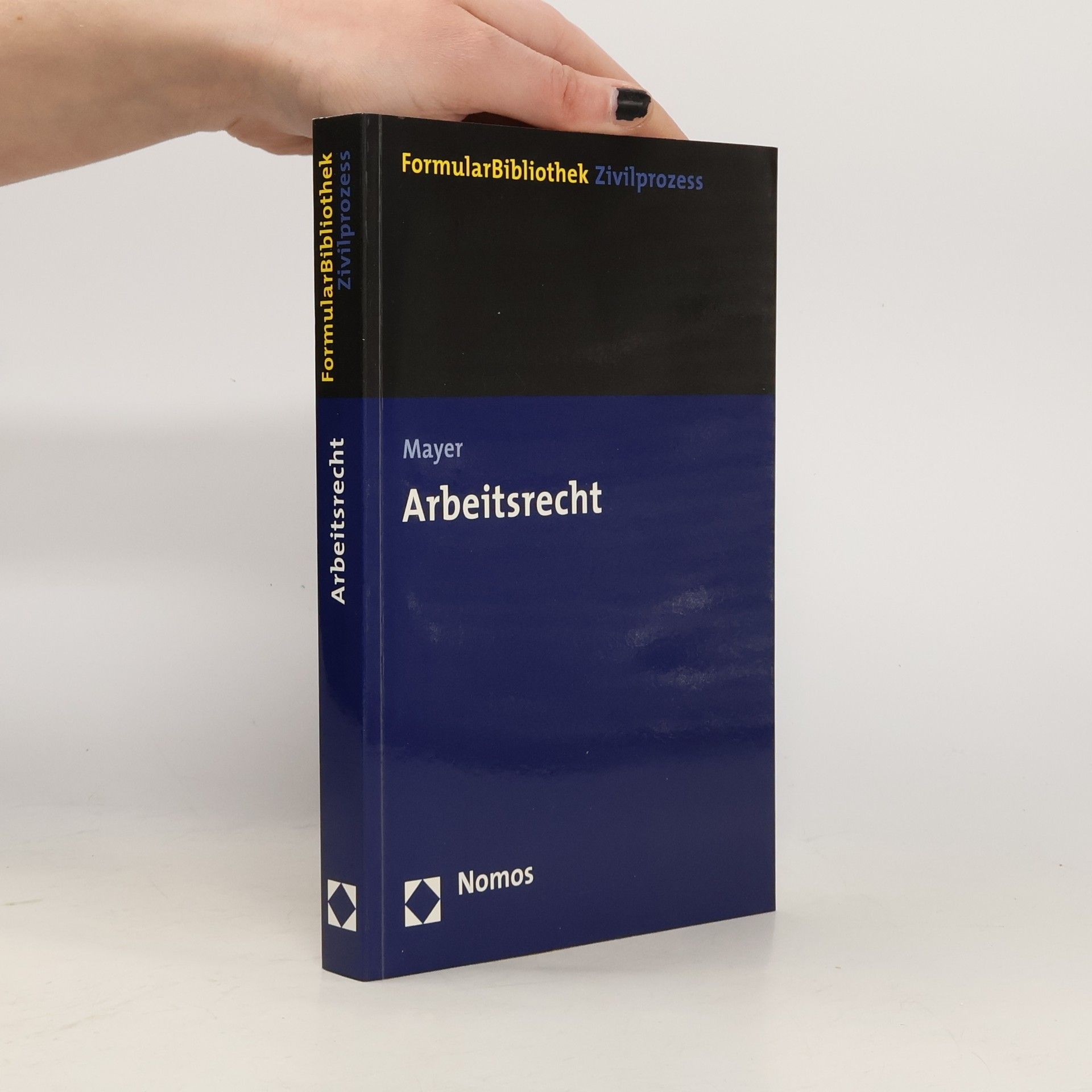 Hans-Jochem Mayer FormularBibliothek Zivilprozess: Arbeitsrecht
