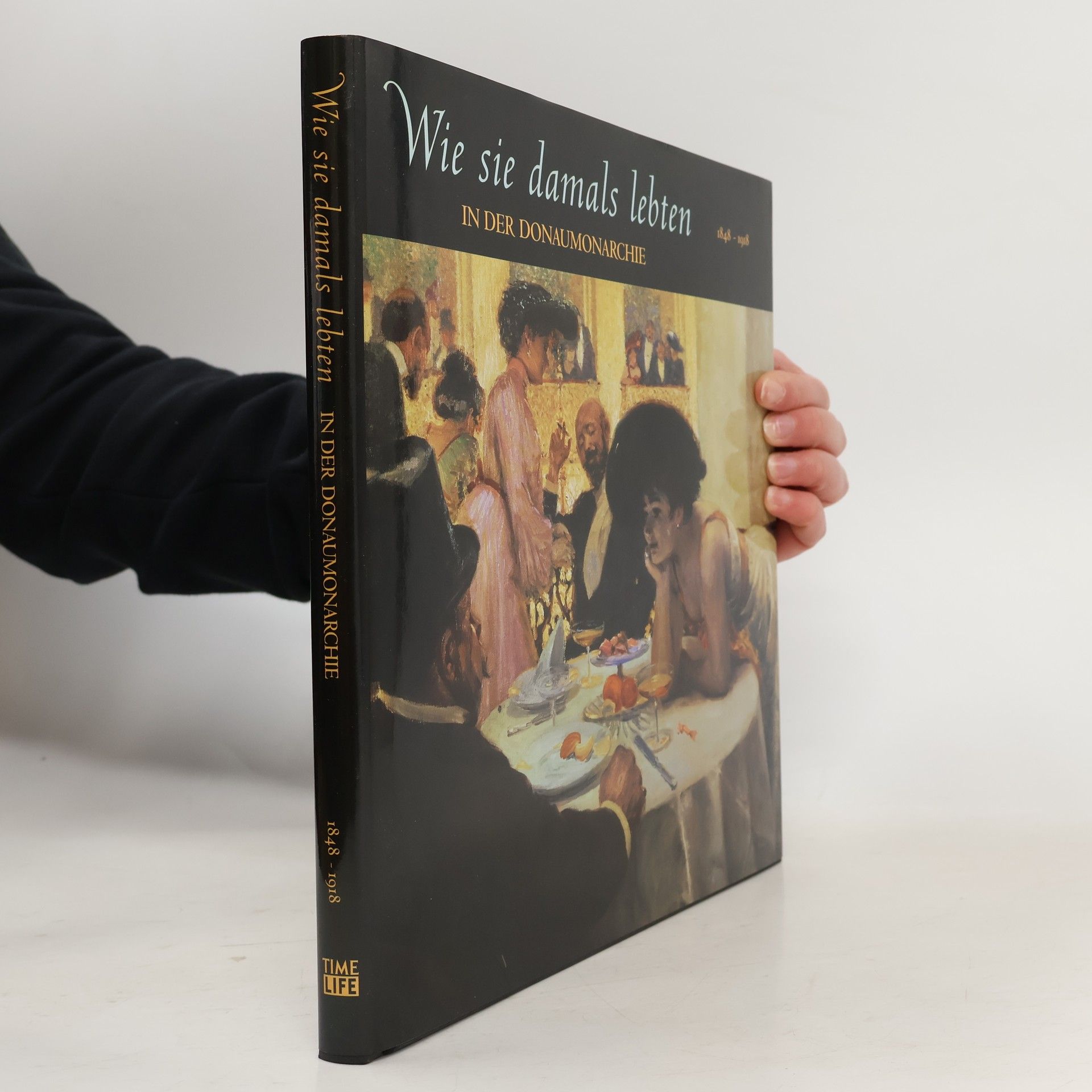 Kolektiv autorů Wie sie damals lebten in der Donaumonarchie
