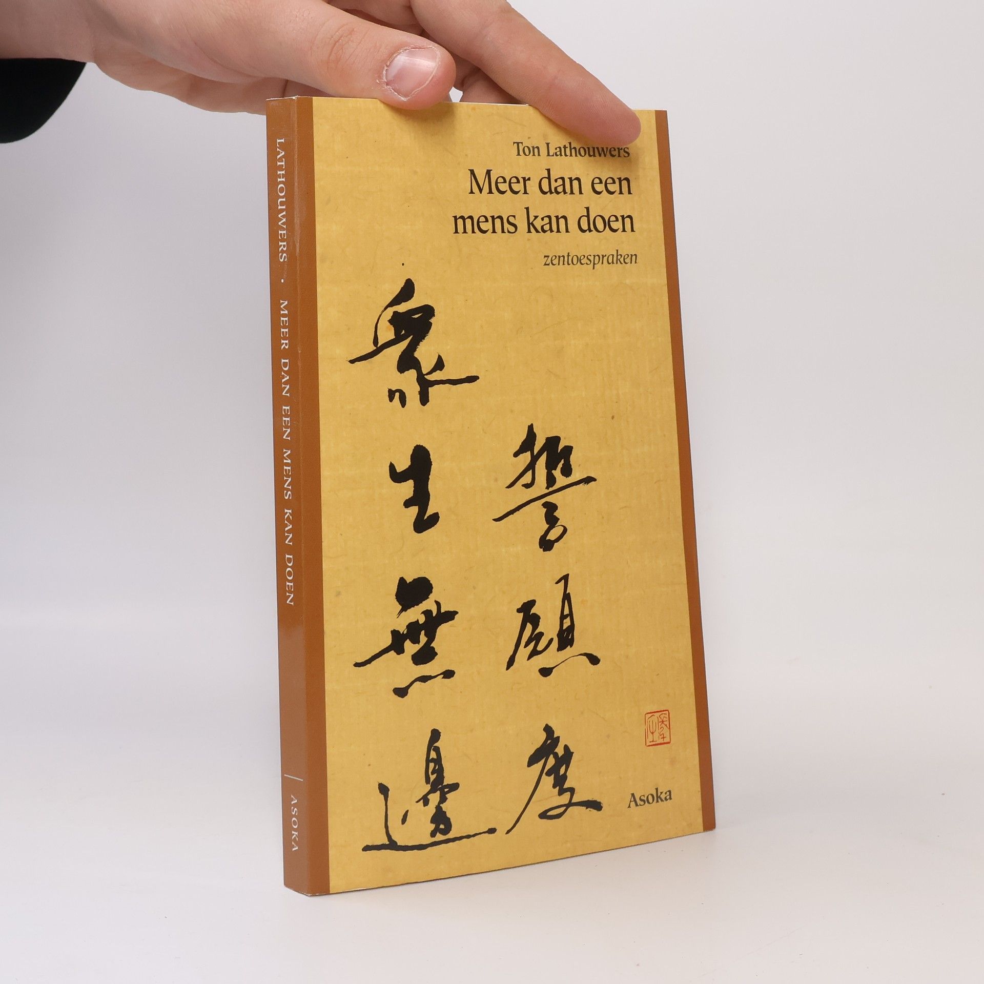 Ton Lathouwers Meer dan een mens kan doen