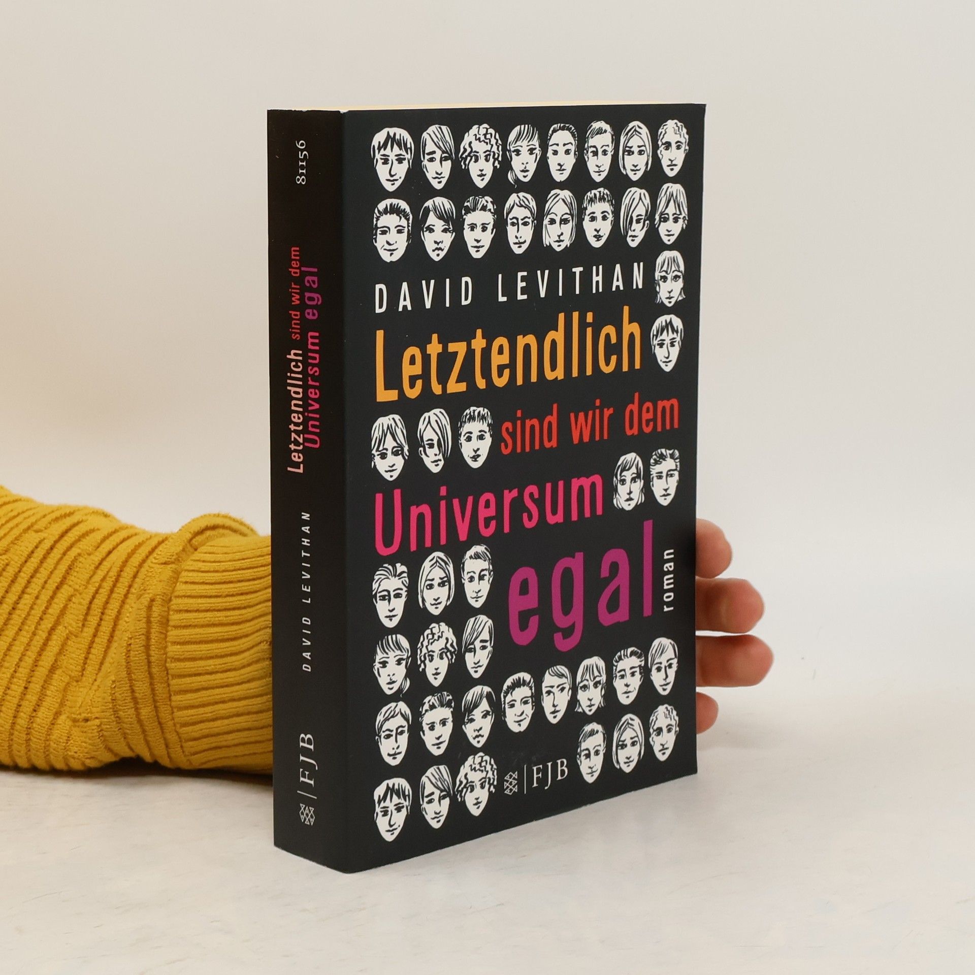 David Levithan Letztendlich sind wir dem Universum egal