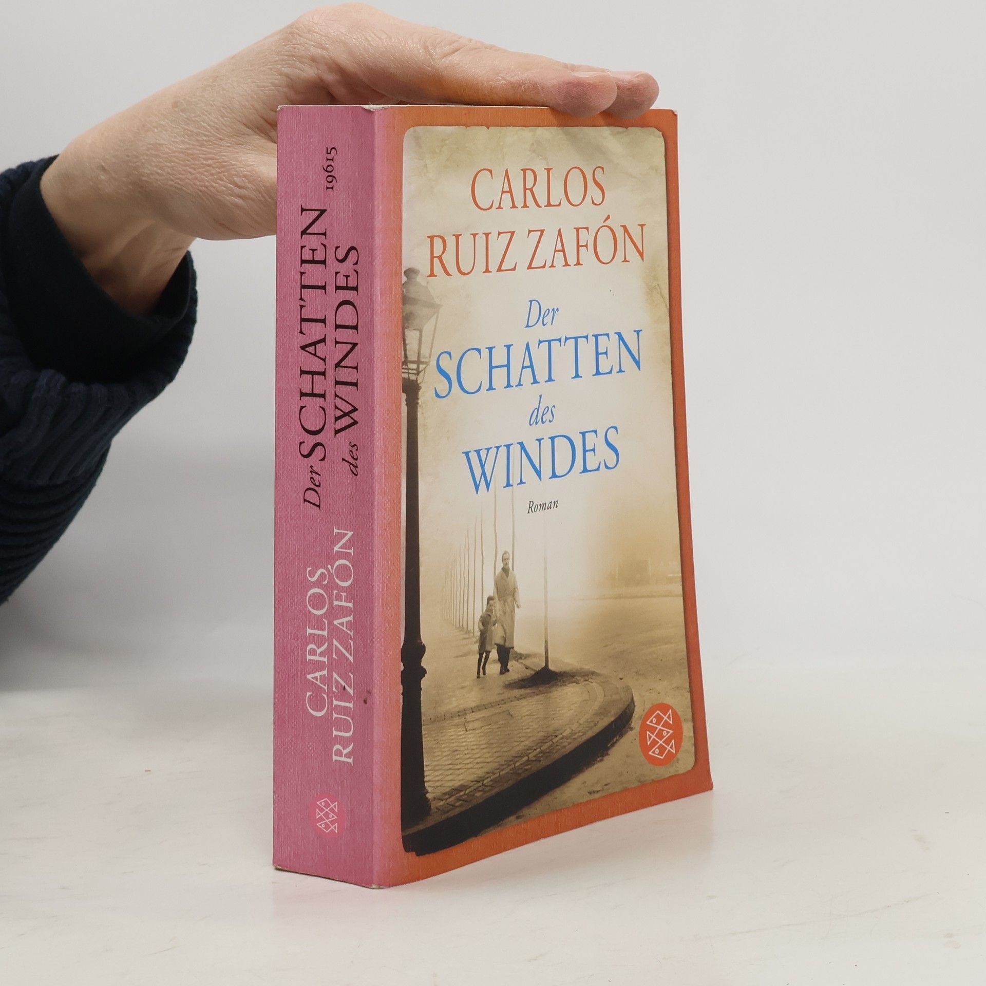 Carlos Ruiz Safon Der Schatten des Windes