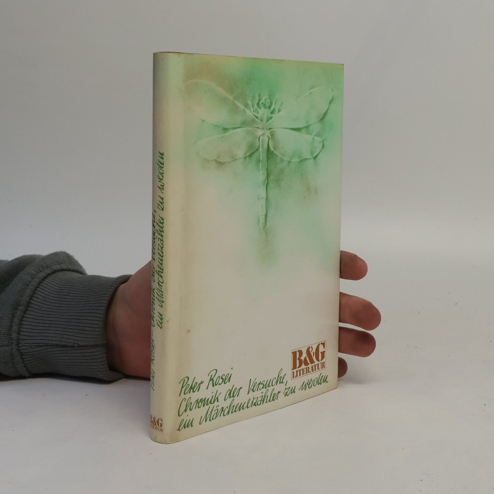 Peter Rosei Chronik der Versuche, ein Märchenerzähler zu werden