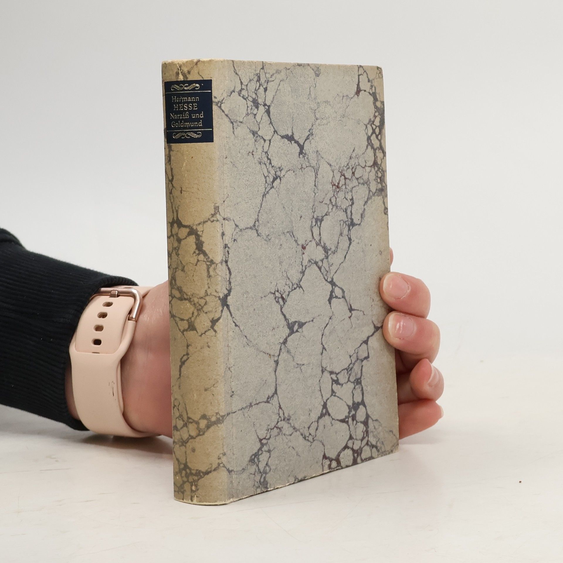 Hermann Hesse Narziss und Goldmund