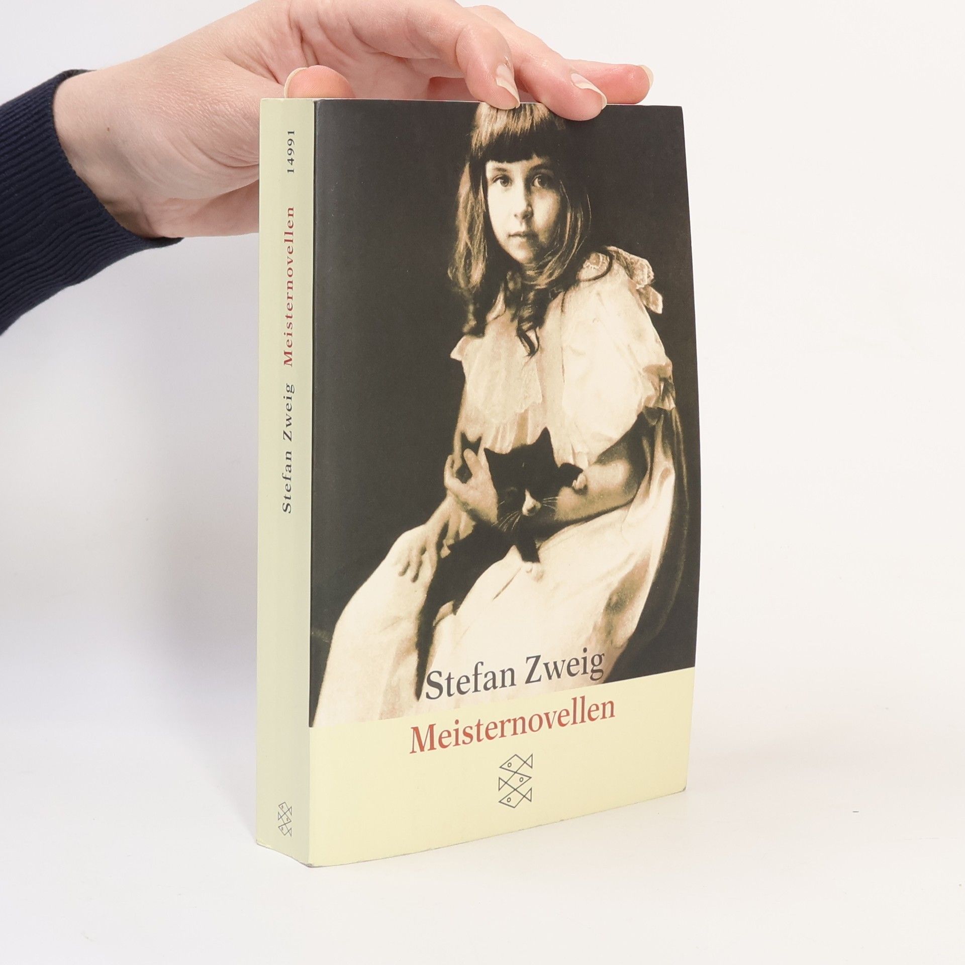 Stefan Zweig Meisternovellen