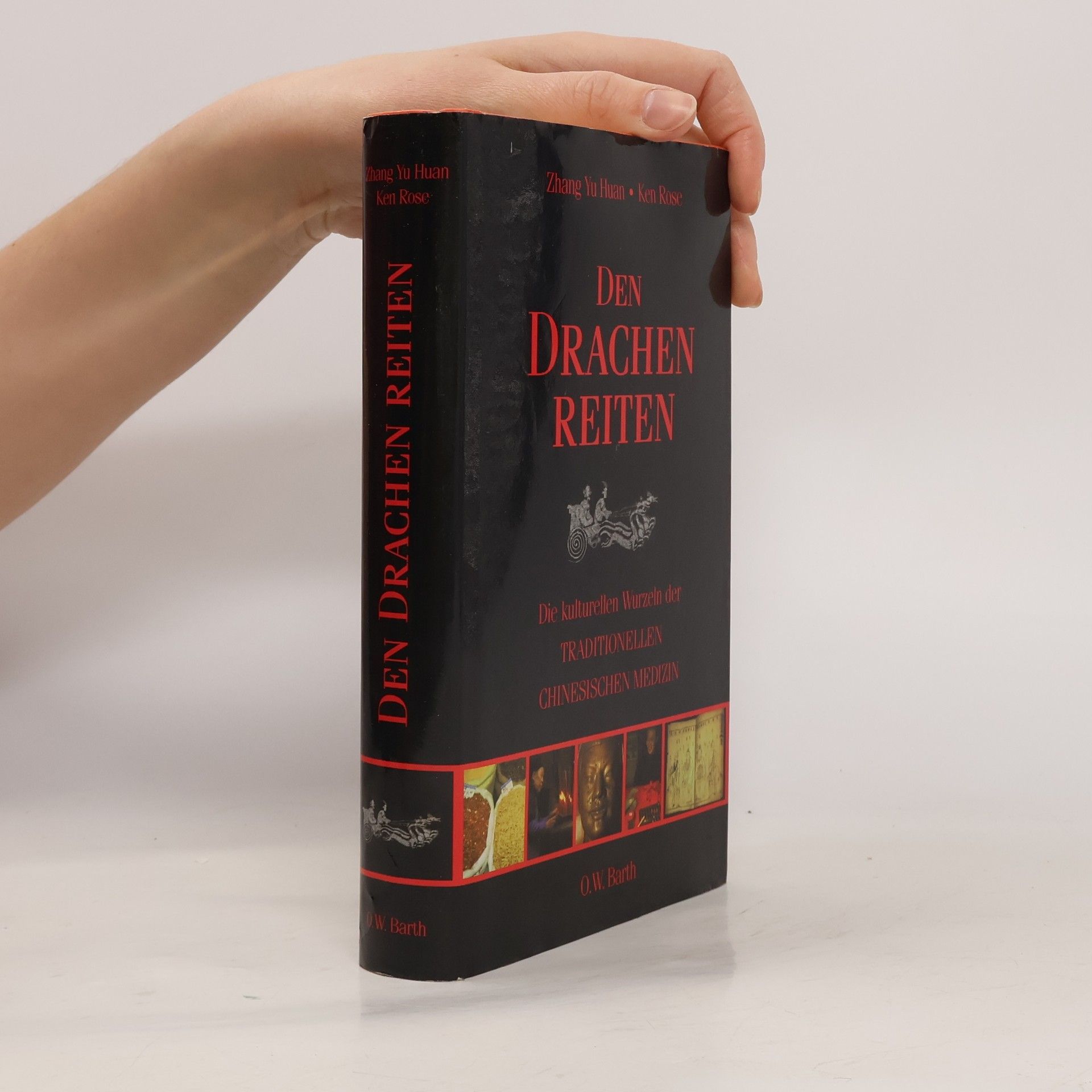 Yuhuan Zhang Den Drachen reiten