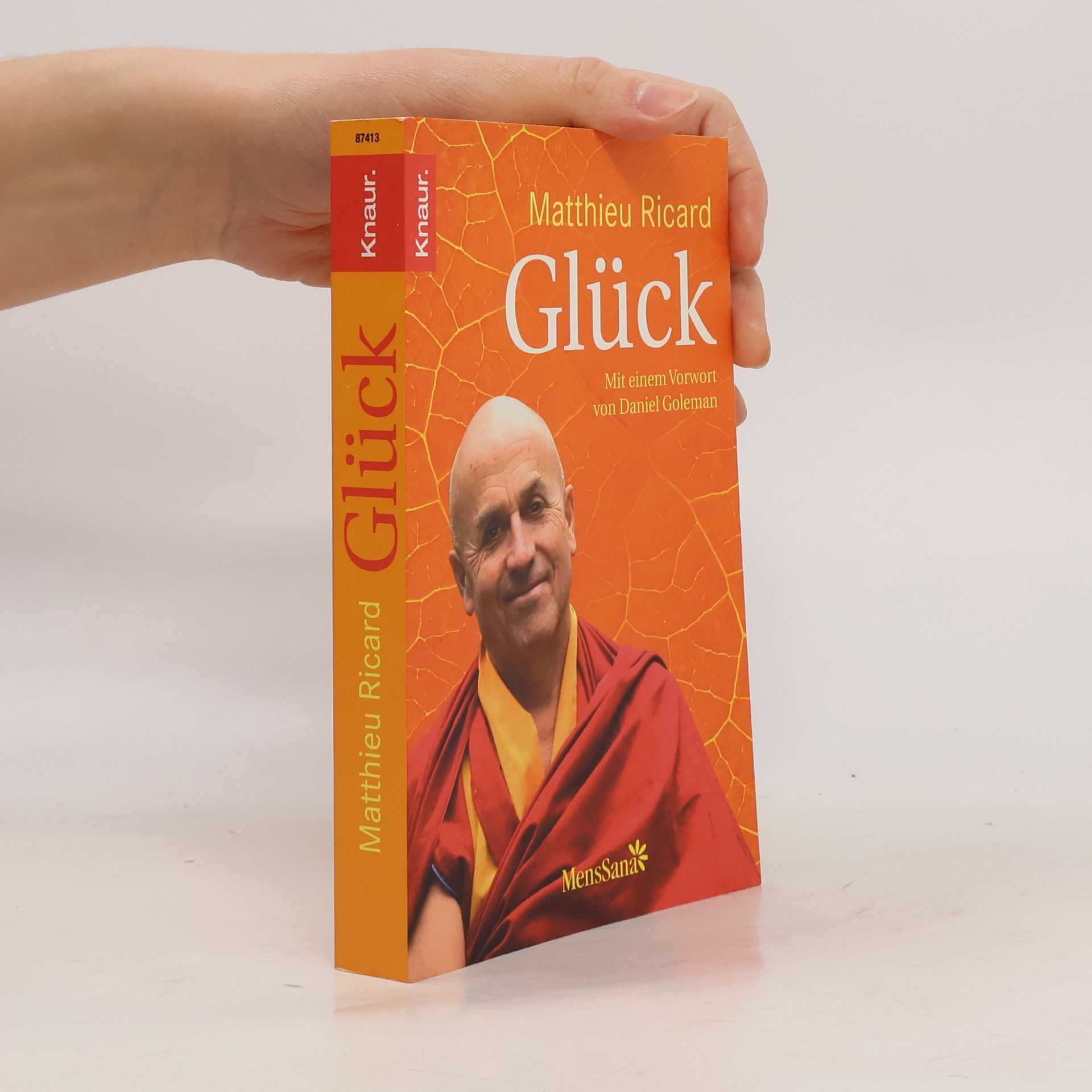 Matthieu Ricard Glück