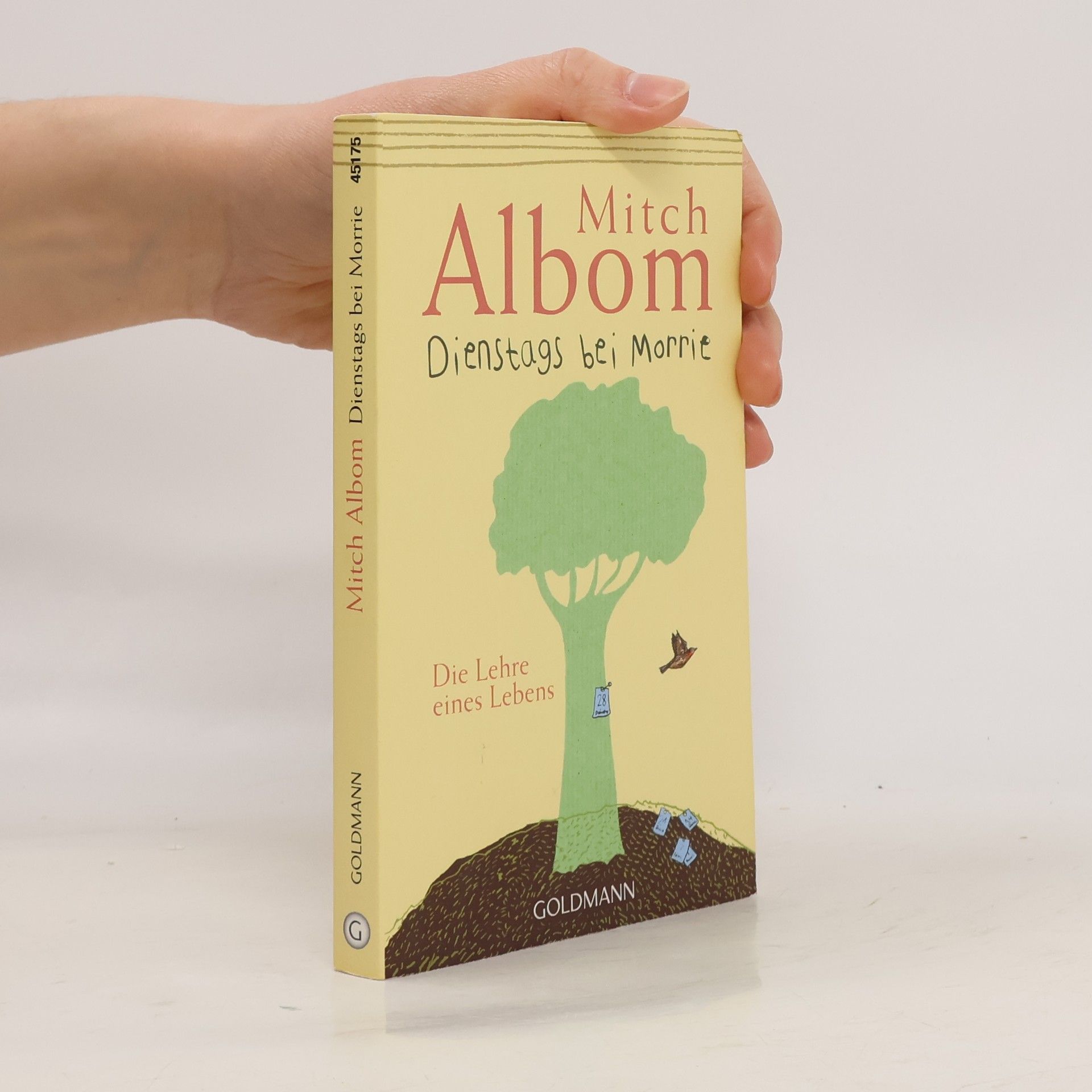 Mitch Albom Dienstags bei Morrie