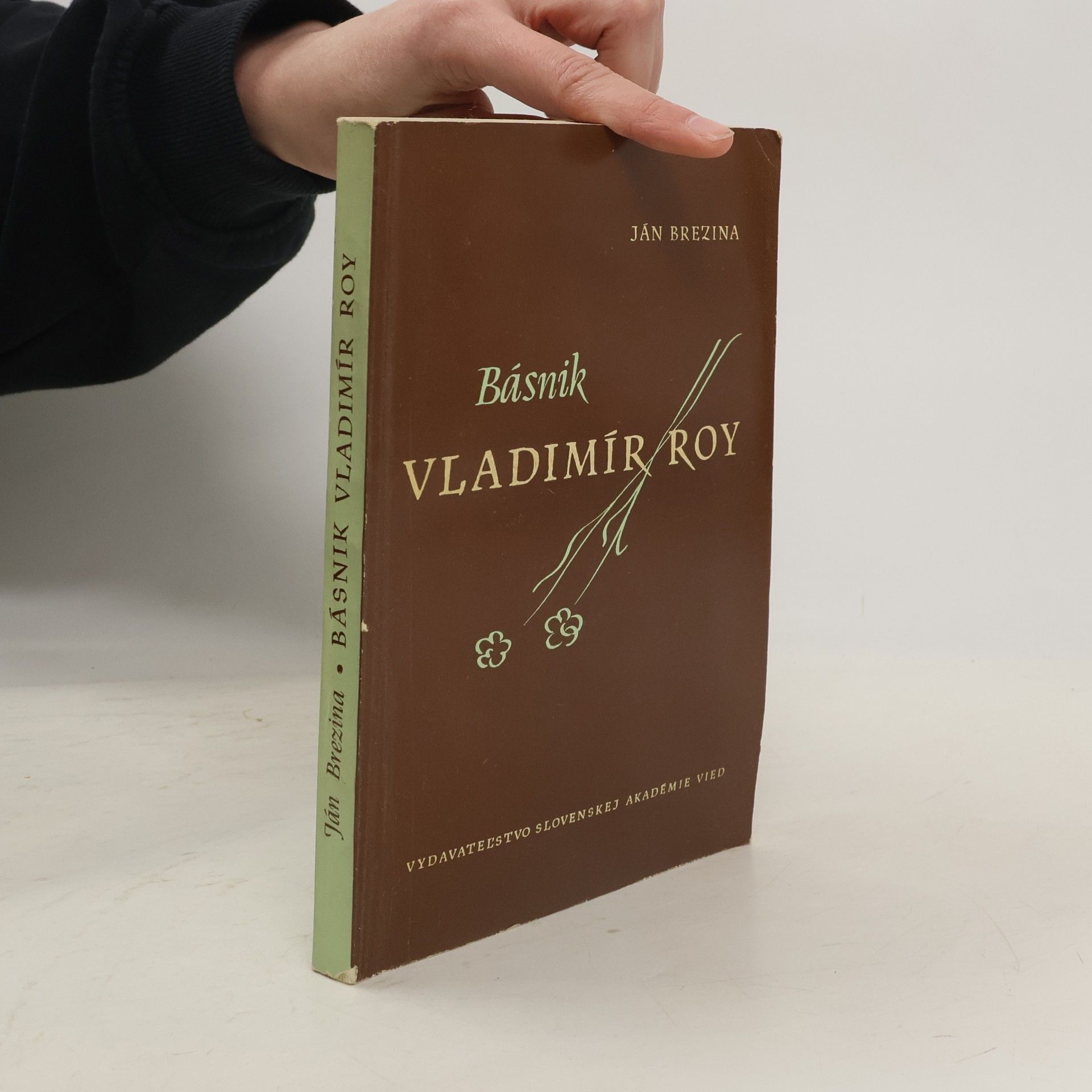 Ján Brezina Básnik Vladimír Roy