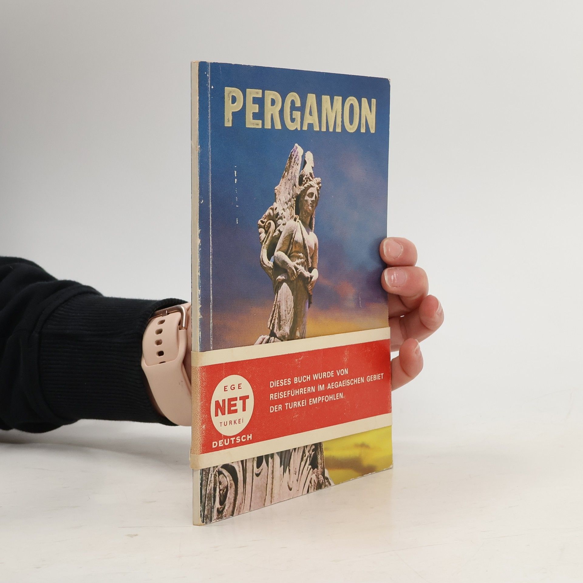 Vehbi Bayraktar Pergamon