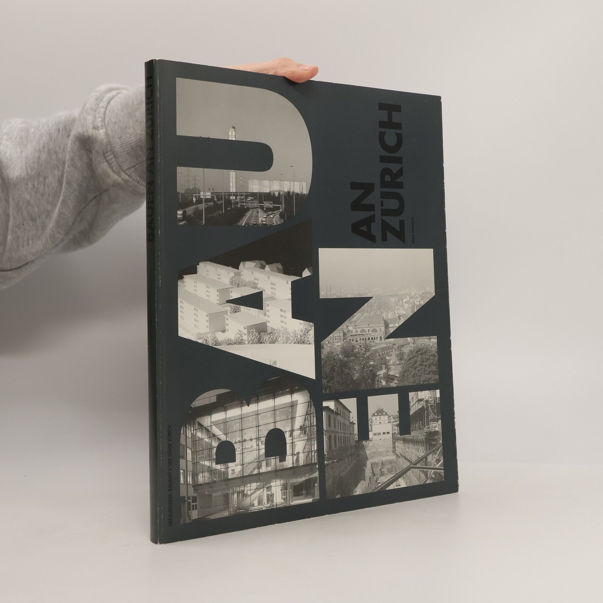 Irma Noseda Bauen an Zürich