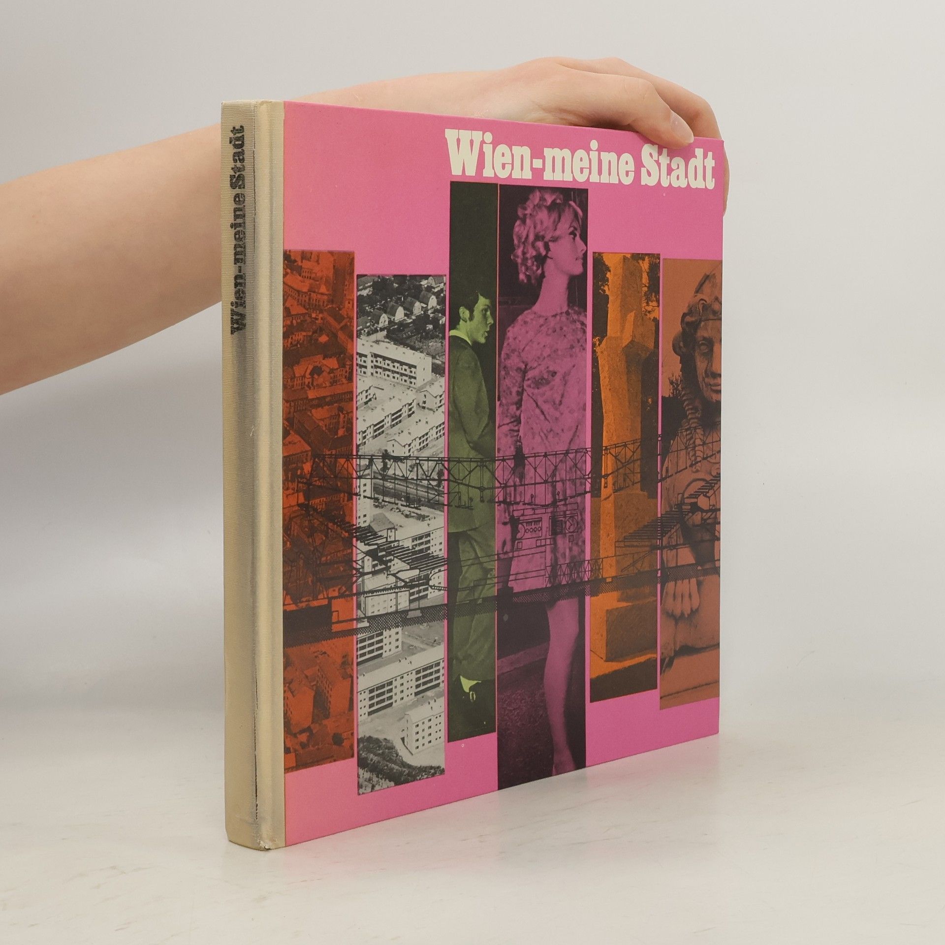 Kolektív autorov Wien. Meine Stadt