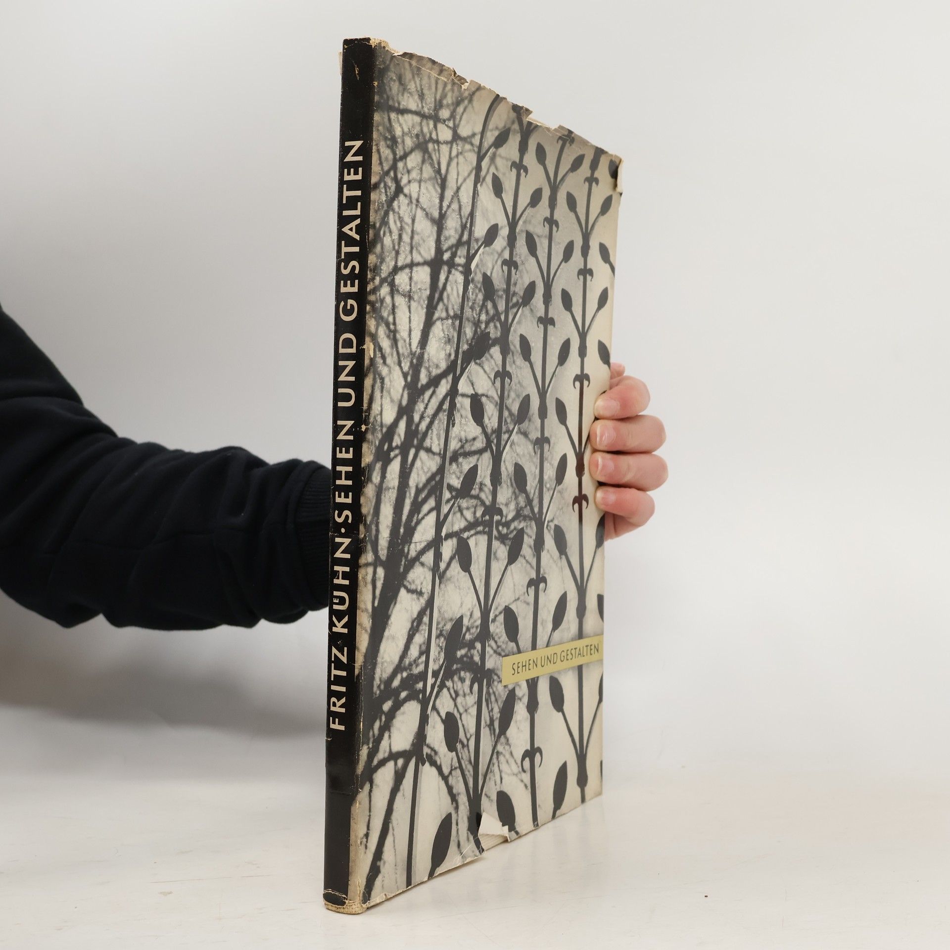 Fritz Kühn Sehen und Gestalten