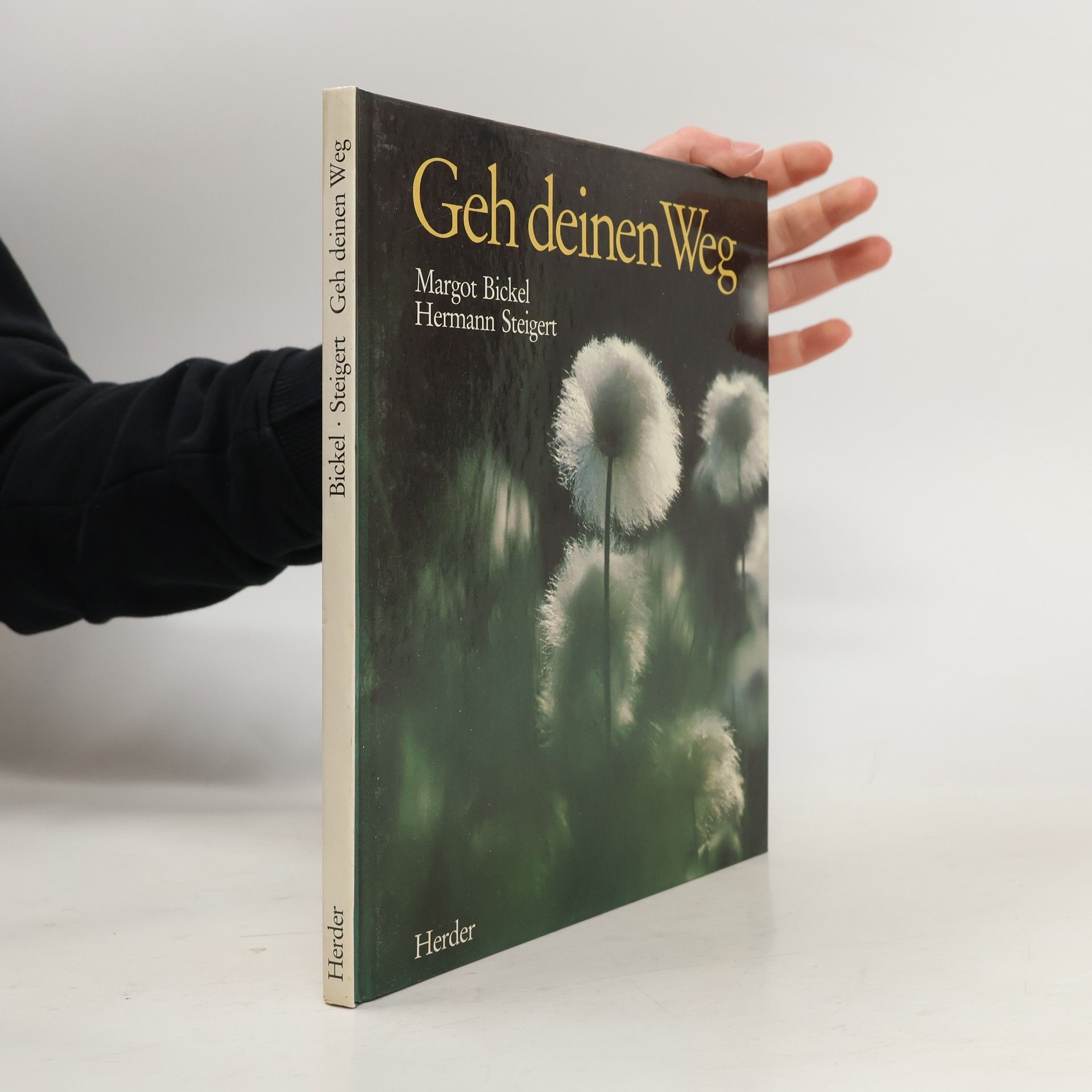 Margot Bickel Geh deinen Weg