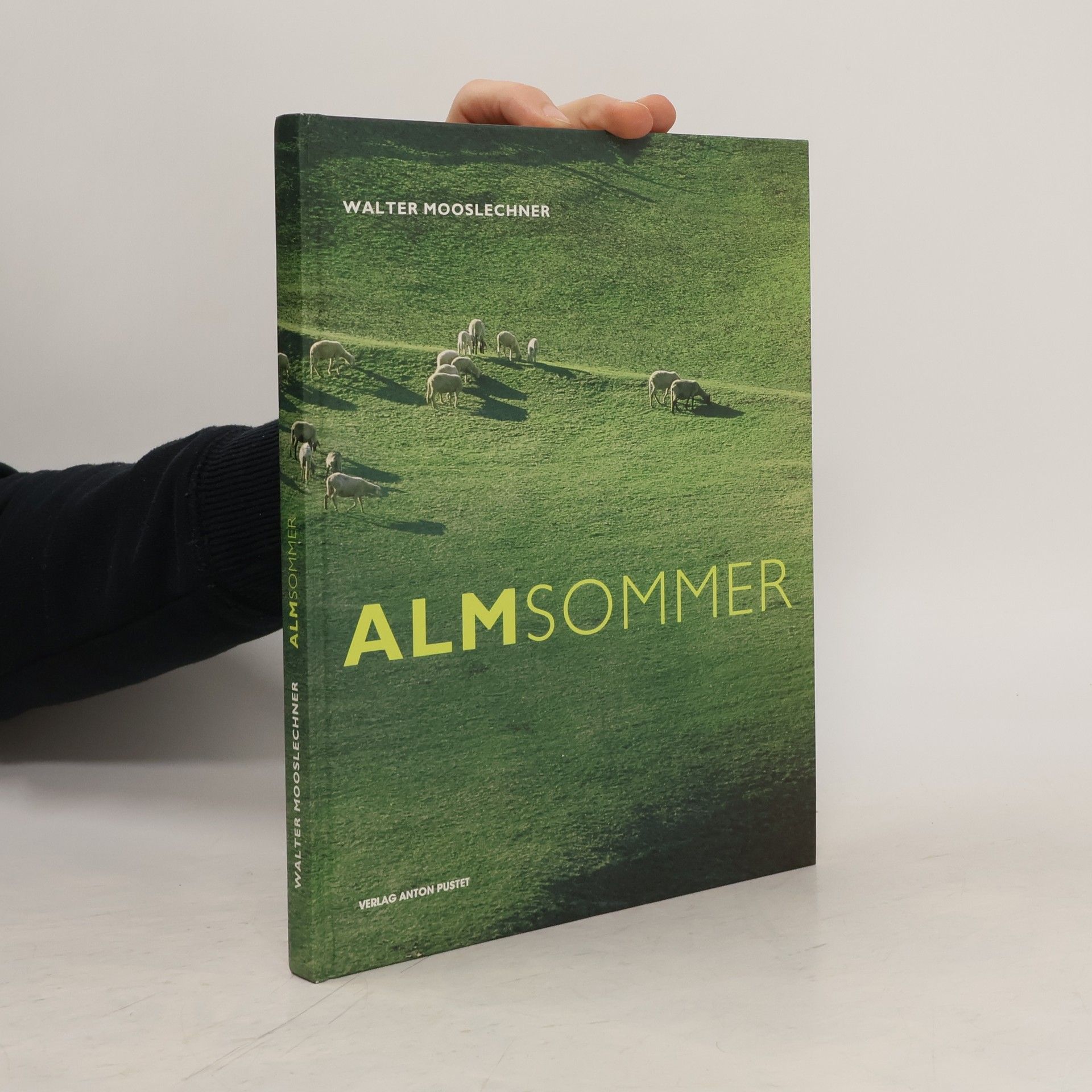 Walter Mooslechner Almsommer