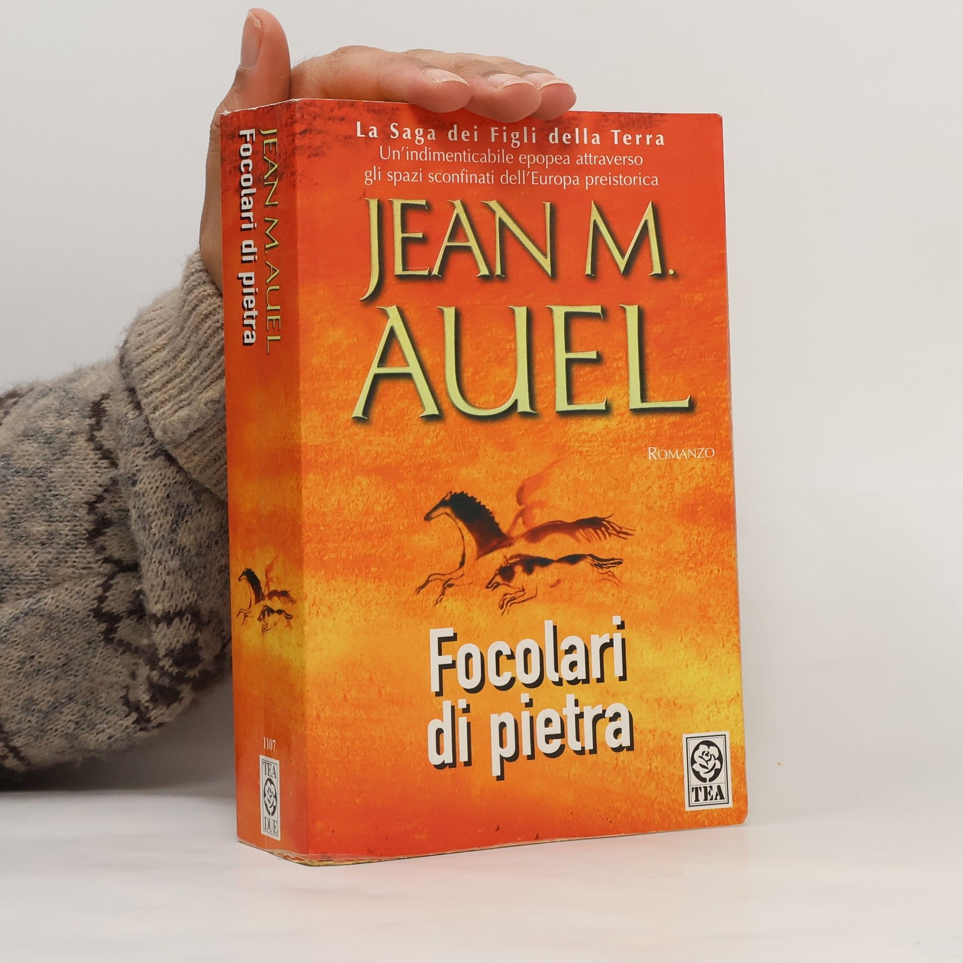 La Saga dei Figli della Terra: Focolari di pietra