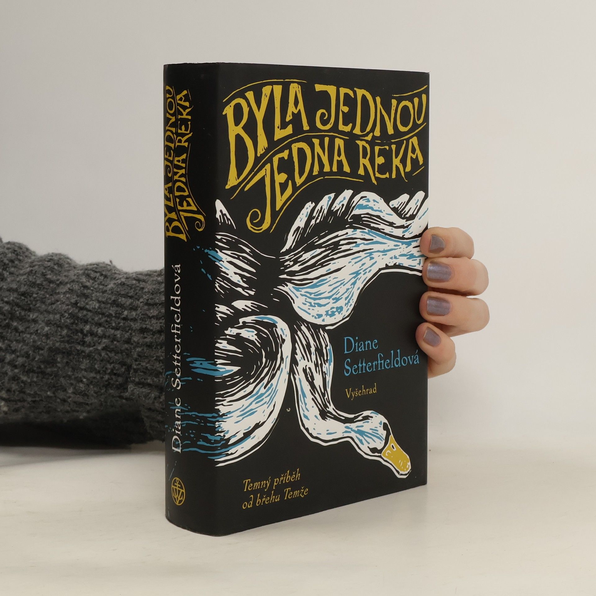 Diane Setterfield Byla jednou jedna řeka