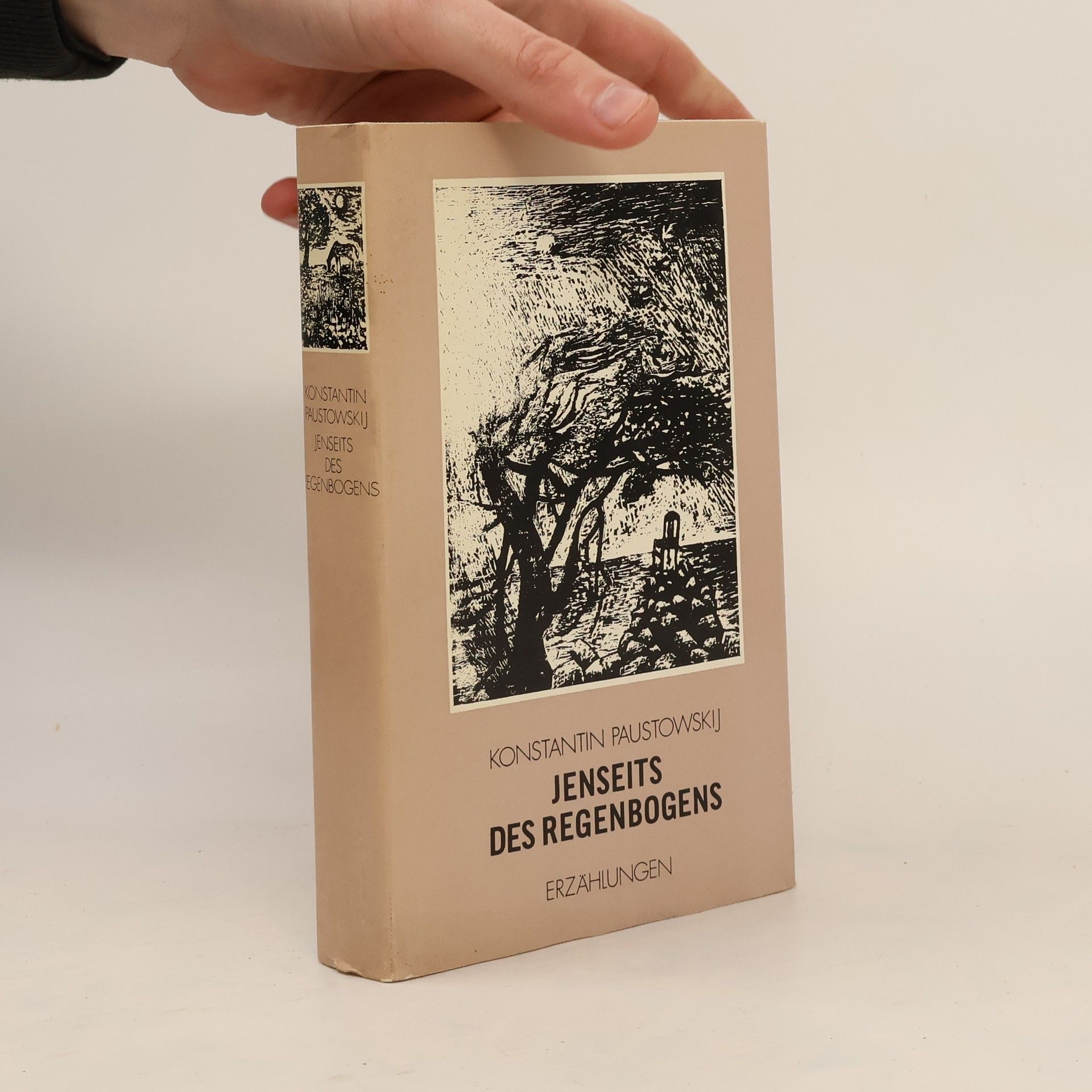 Konstantin Paustowski Jenseits des Regenbogens