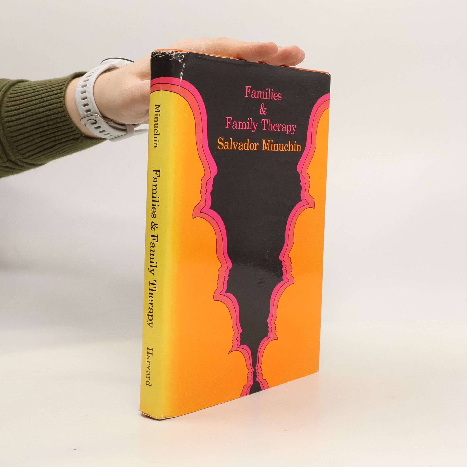 Salvador Minuchin Families and Family Therapy