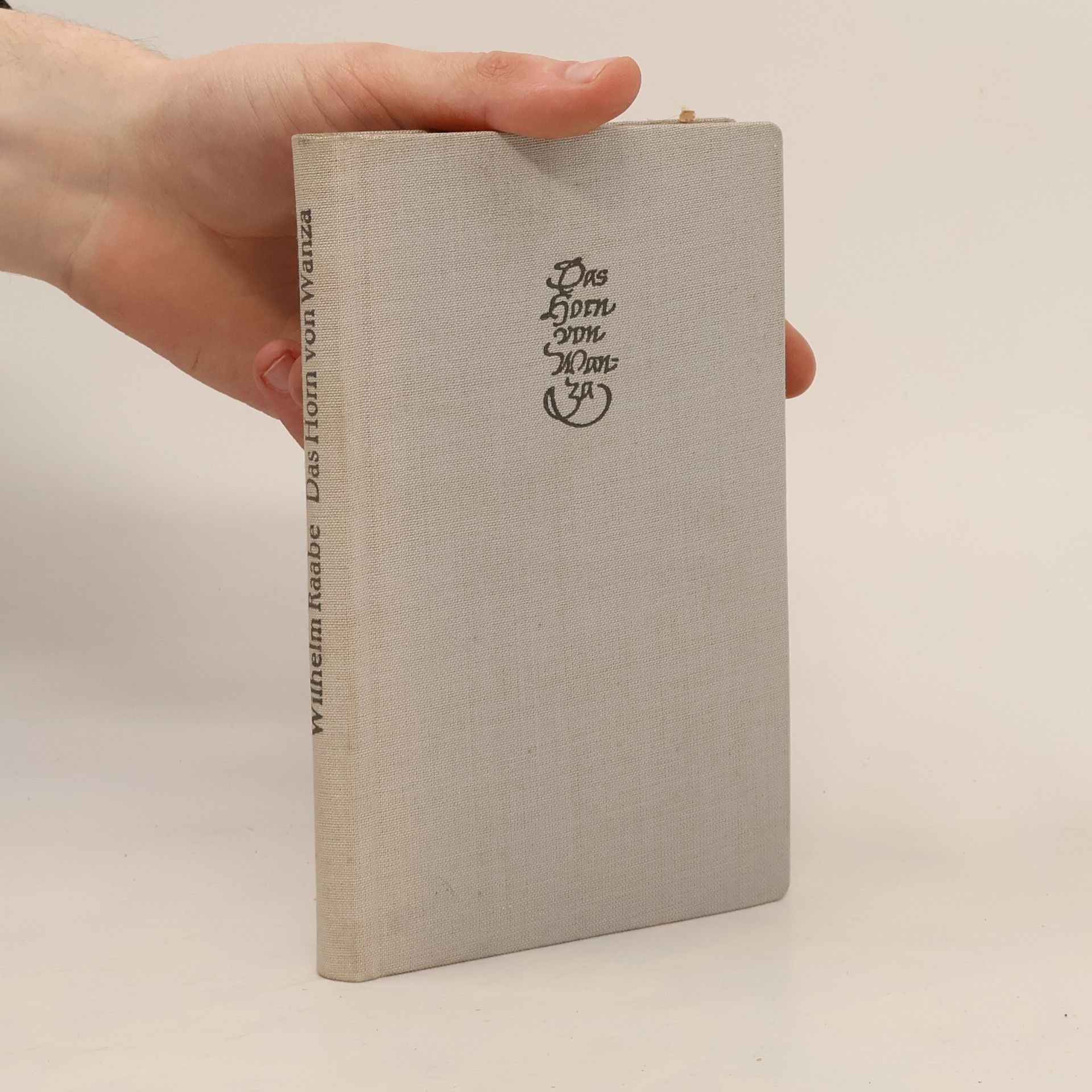 Wilhelm Raabe Das Horn von Wanza