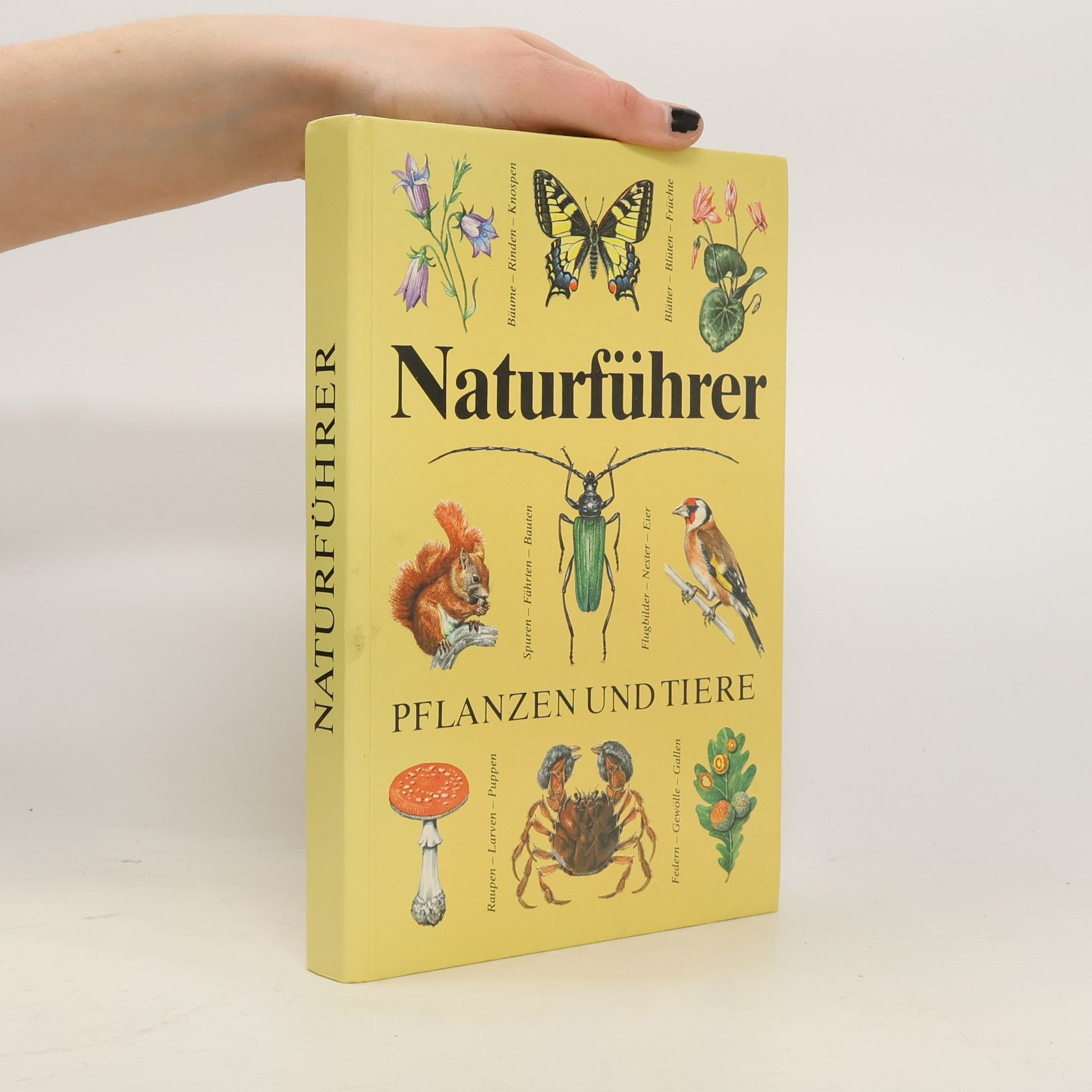 Christoph Needon Naturführer Pflanzen und Tiere