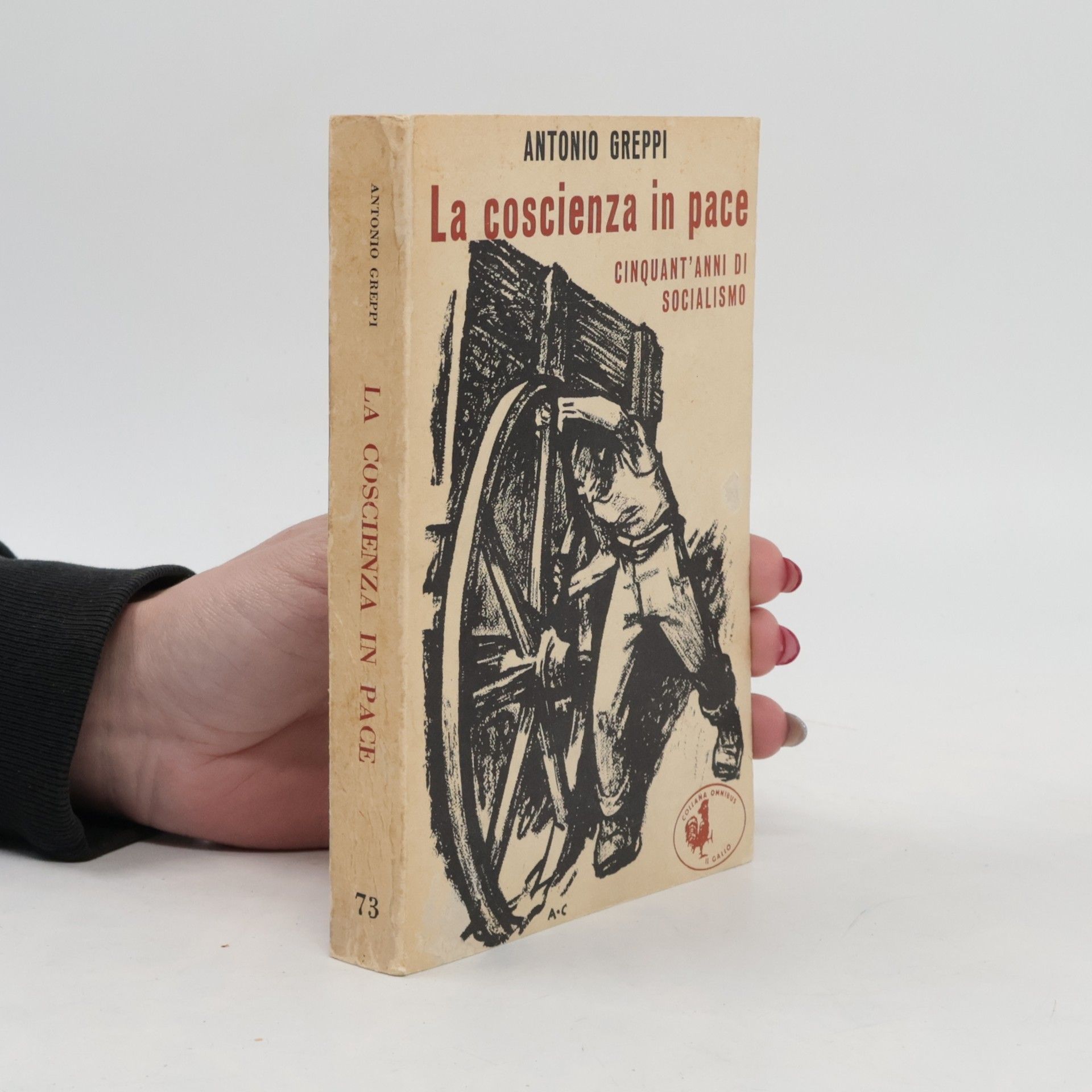 Antonio Greppi La coscienza in pace
