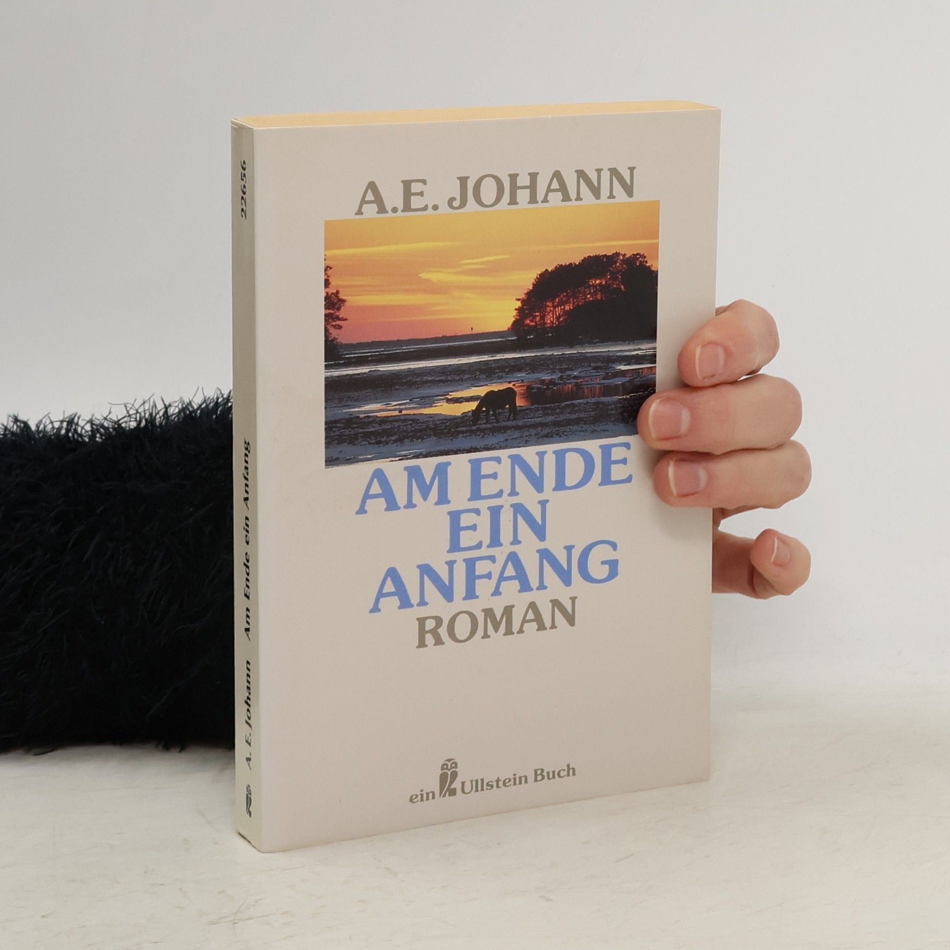 Alfred E. Johann Am Ende ein Anfang