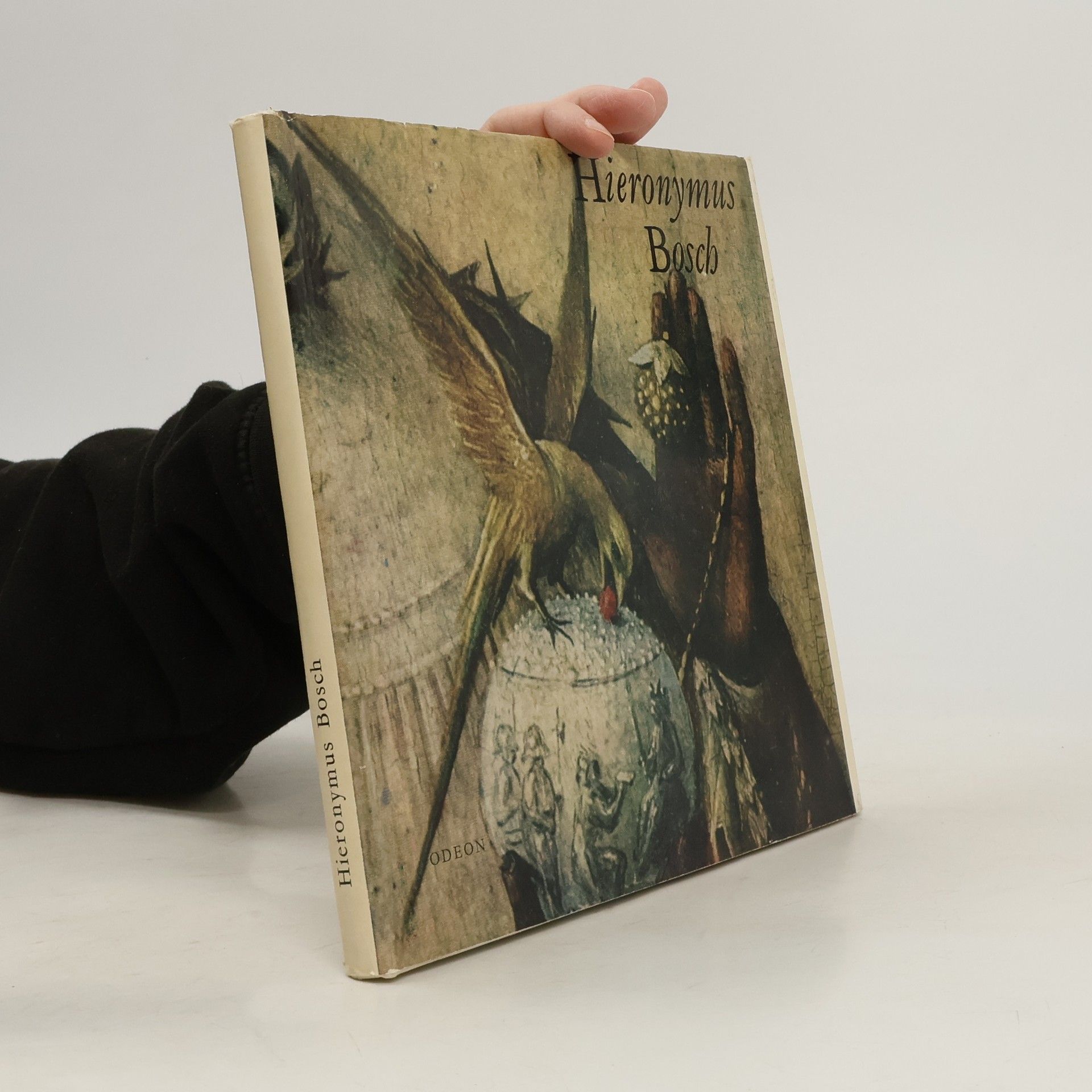 Hana Volavková Hieronymus Bosch