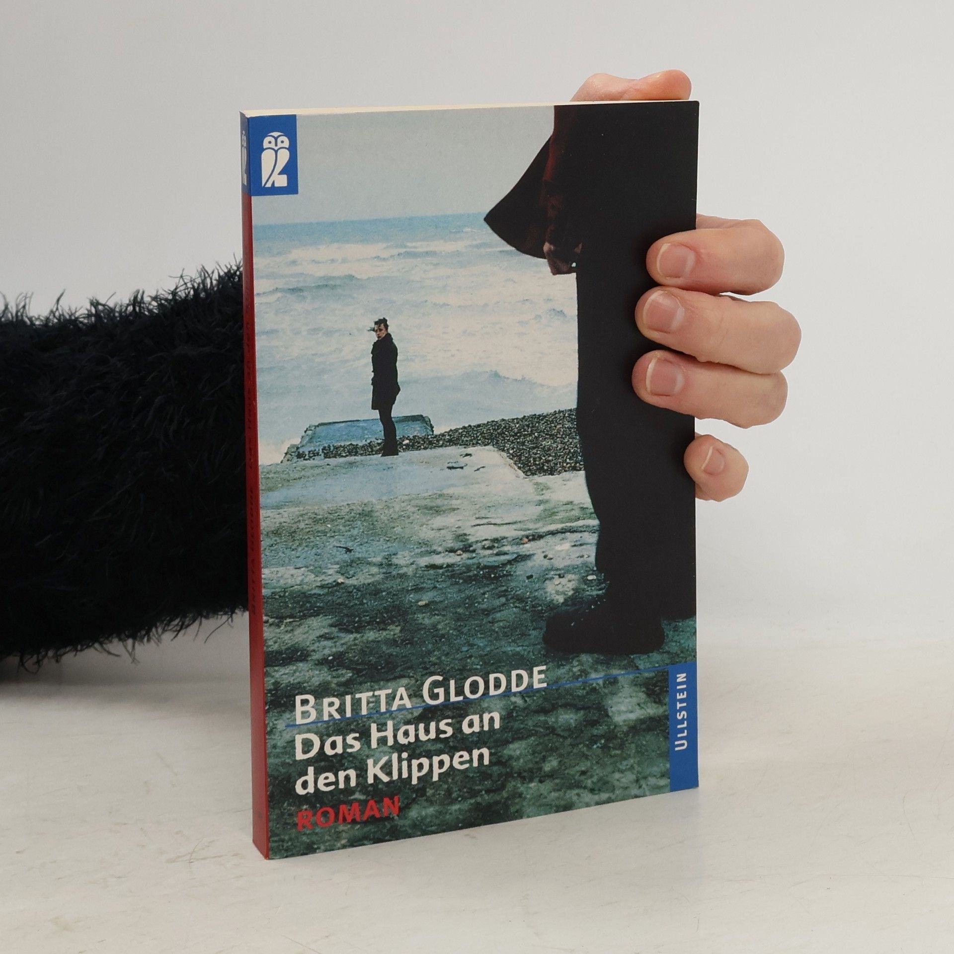 Britta Glodde Das Haus an den Klippen