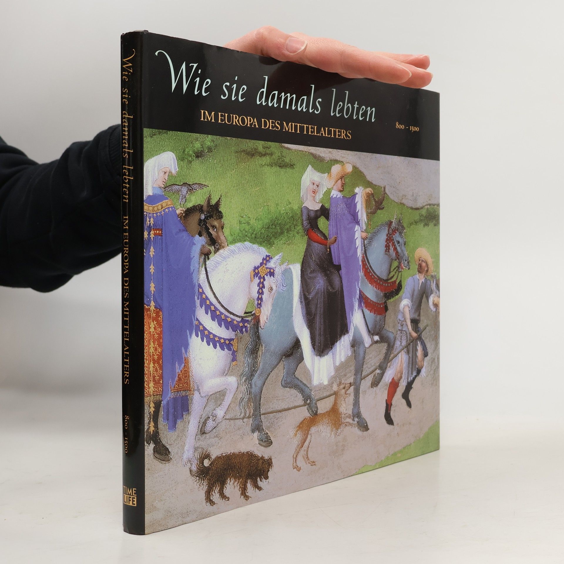 Denise Dersin Wie sie damals lebten im Europa des Mittelalters 800-1500