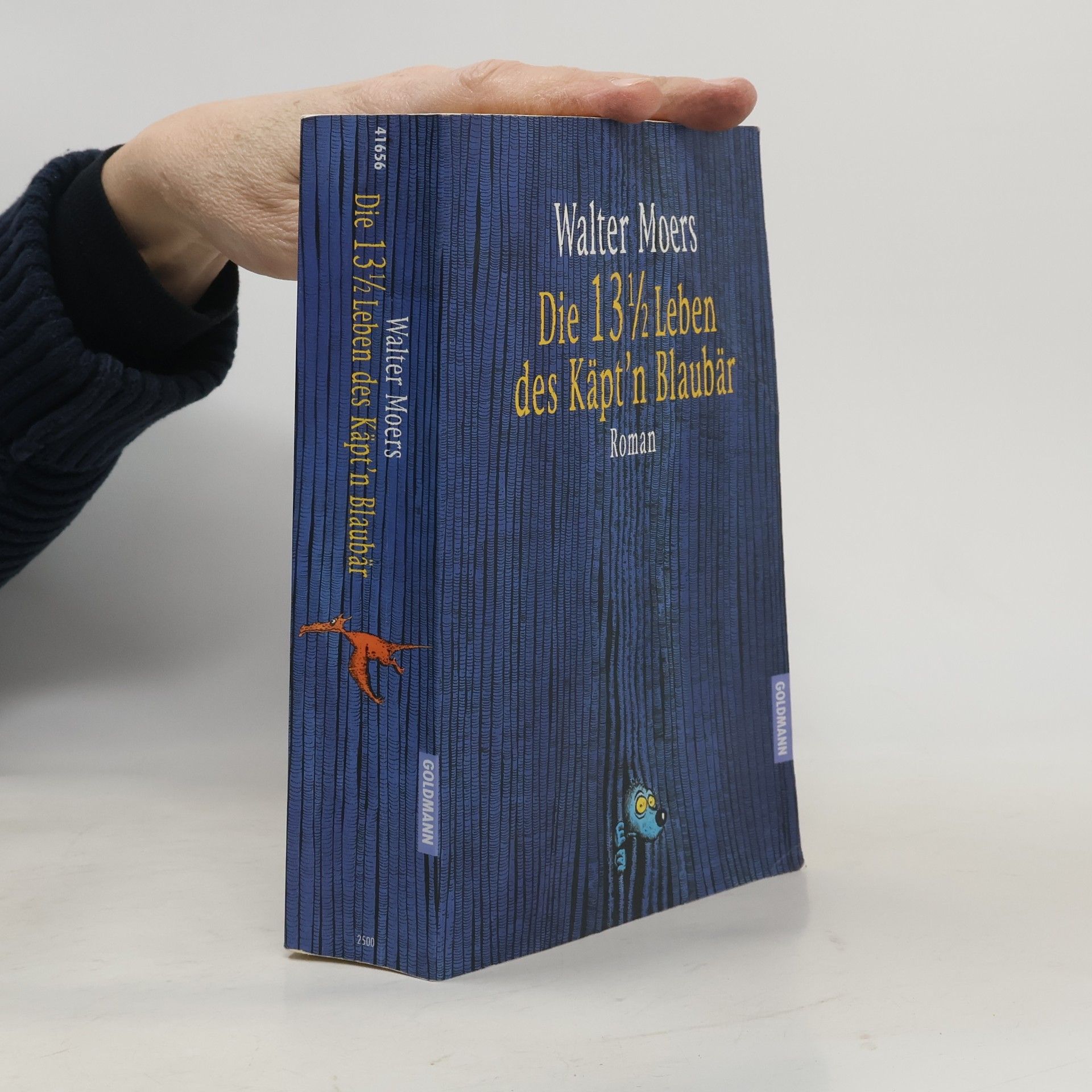 Walter Moers Die 13 1/2 Leben des Käpt’n Blaubär