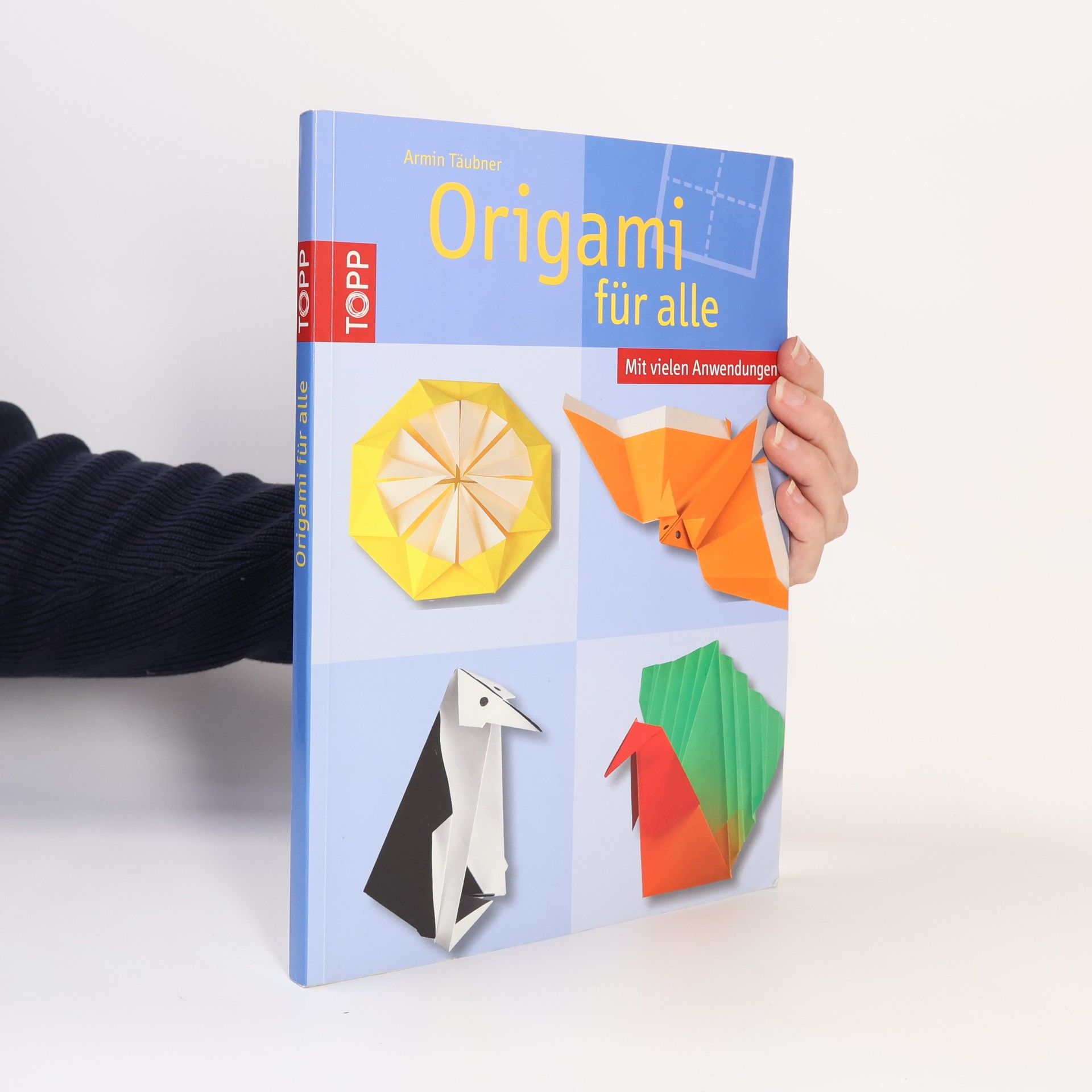 Daniel Täubner Origami für alle