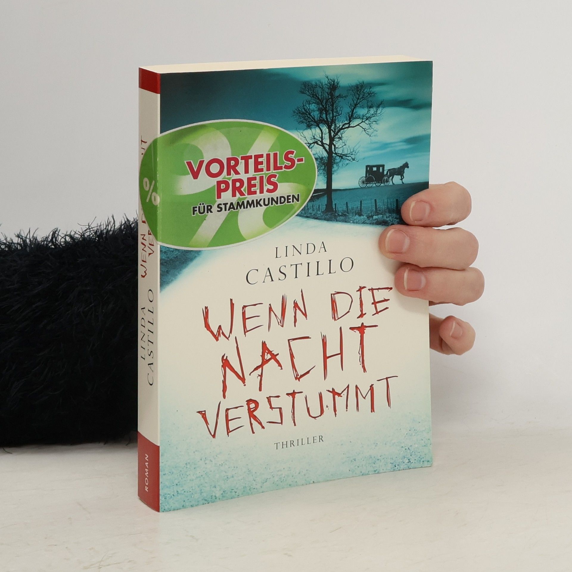 Linda Castillo Wenn die Nacht verstummt