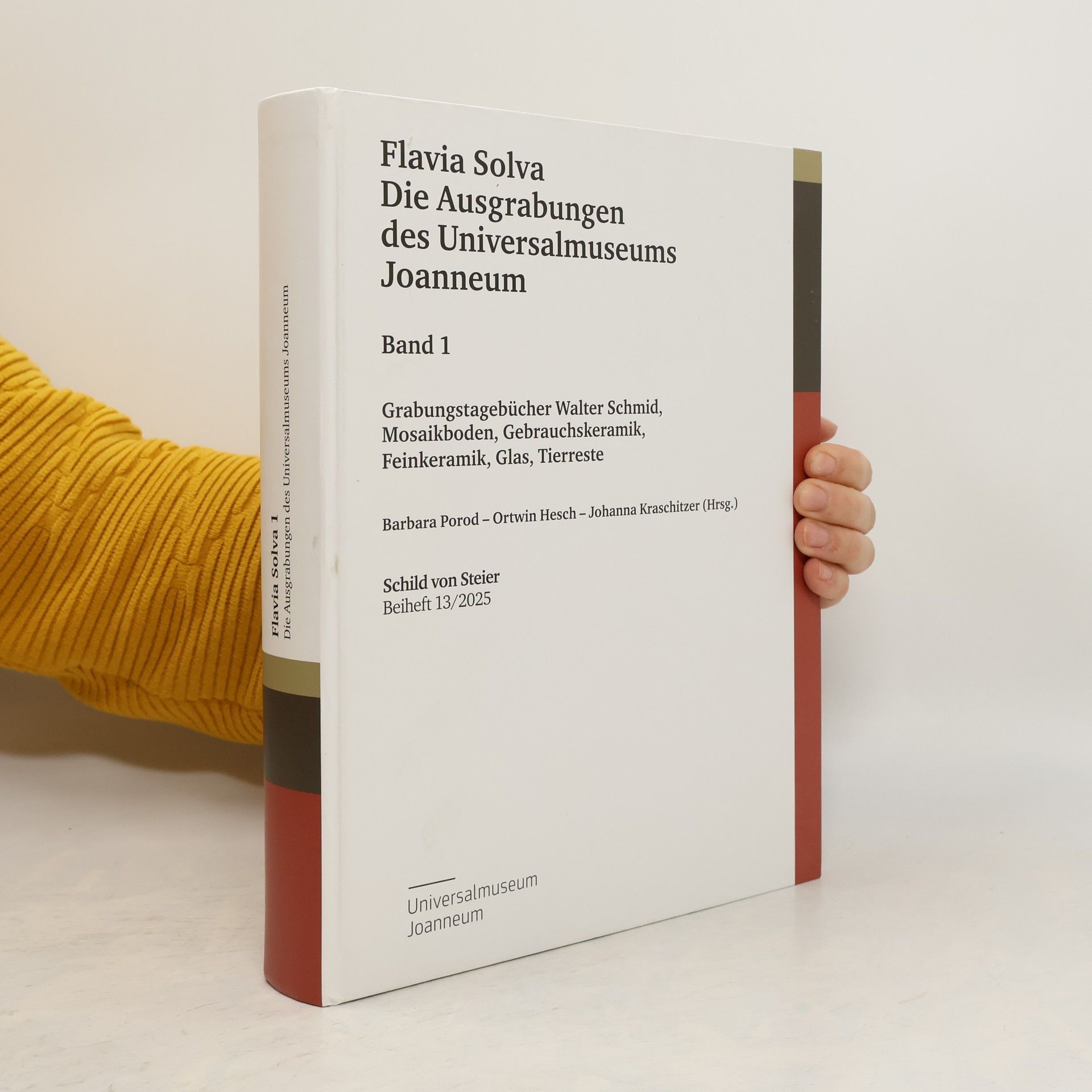 Flavia Solva: Die Ausgrabungen des Universalmuseums Joanneum. Band 1