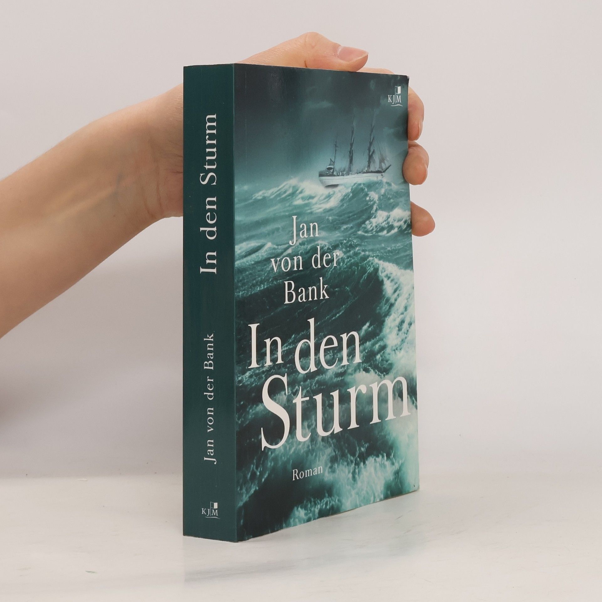 Jan von der Bank In den Sturm