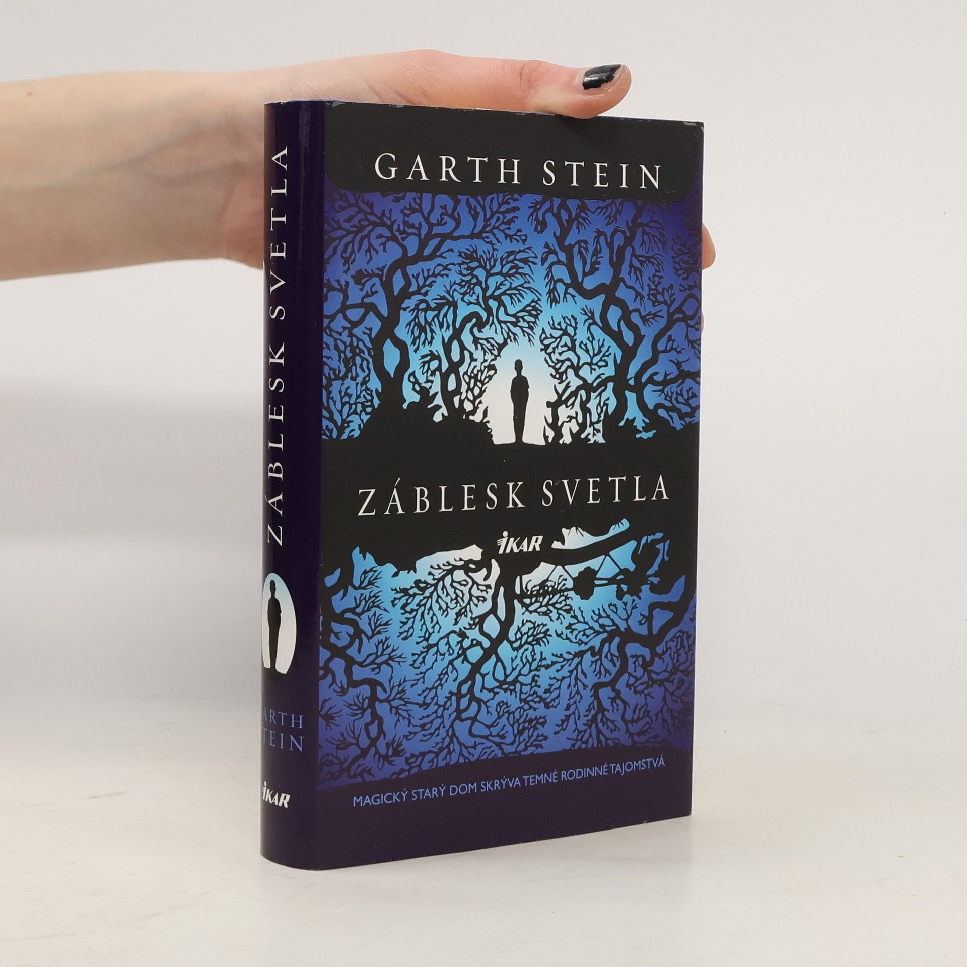 Garth Stein Záblesk svetla