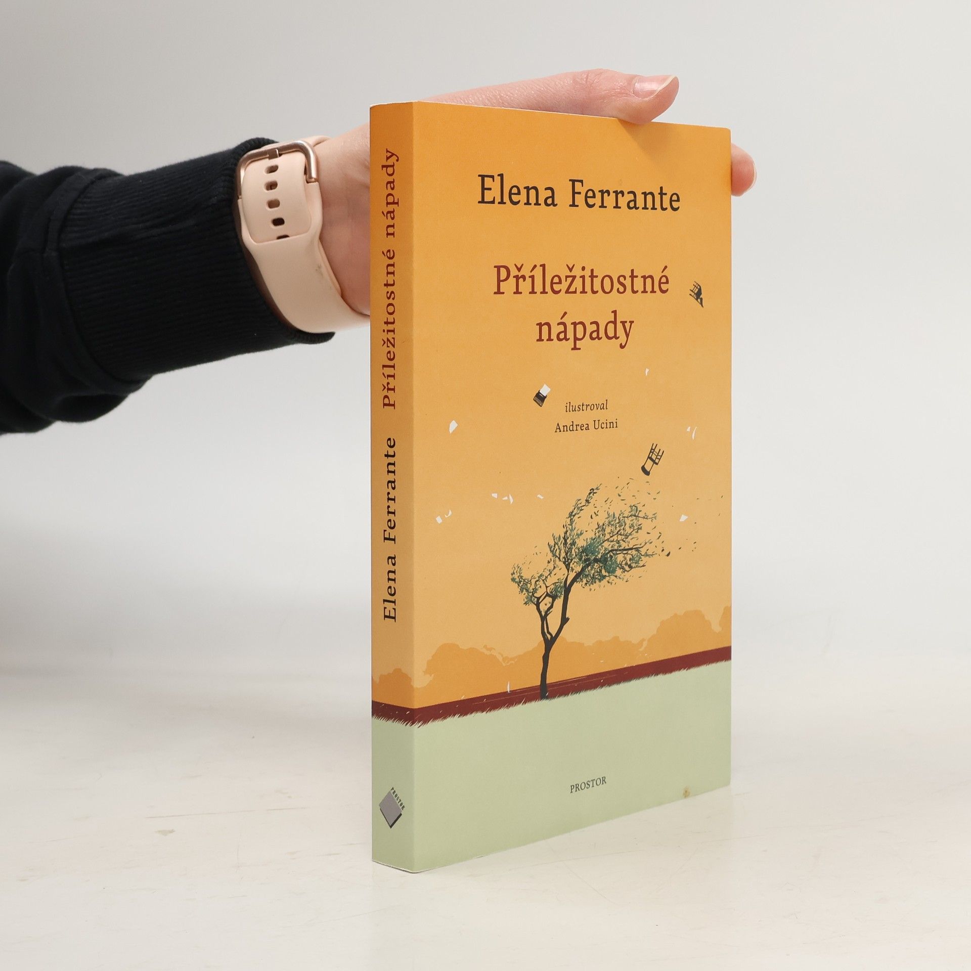 Elena Ferrante Příležitostné nápady