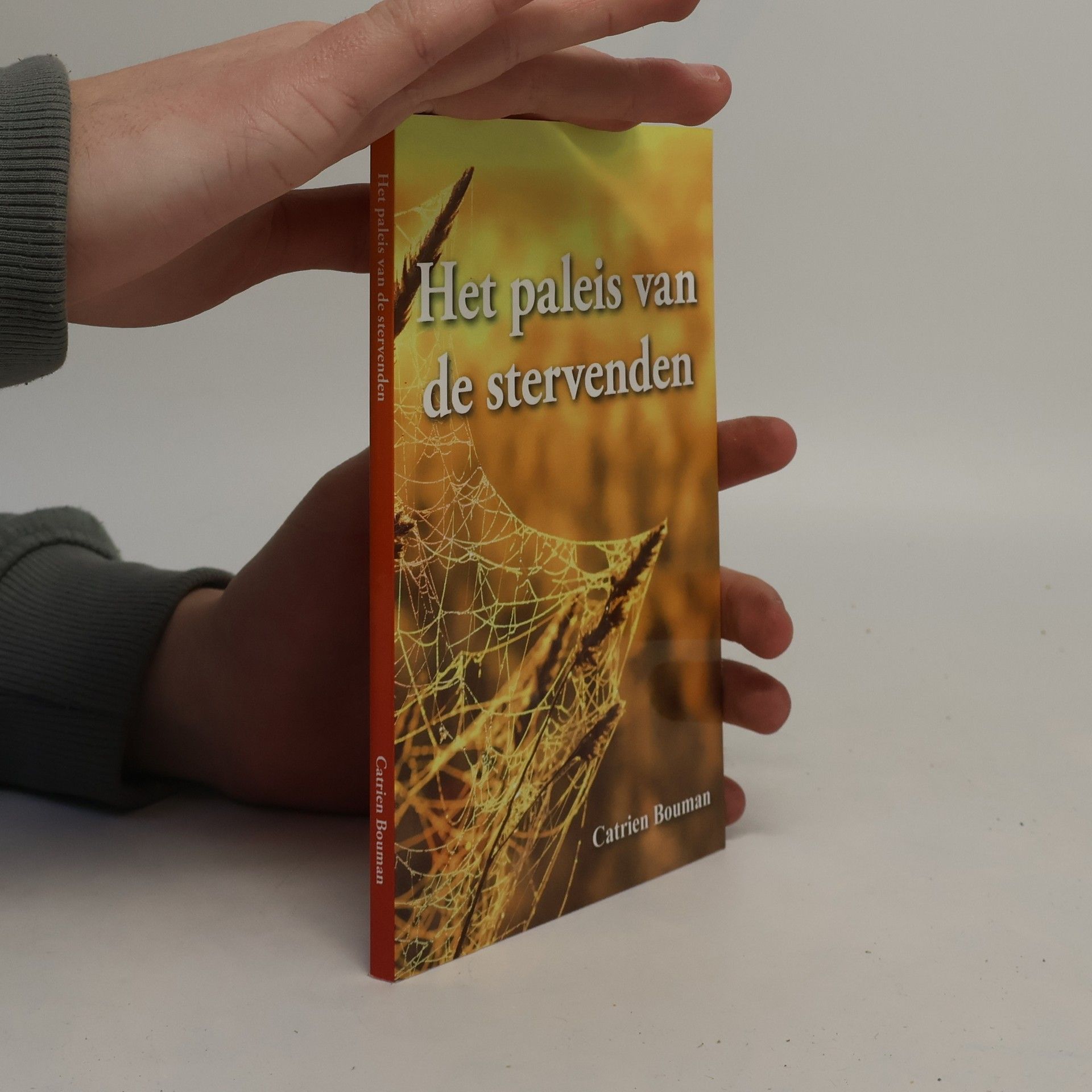 Catrien Bouman Het paleis van de stervenden / druk 1