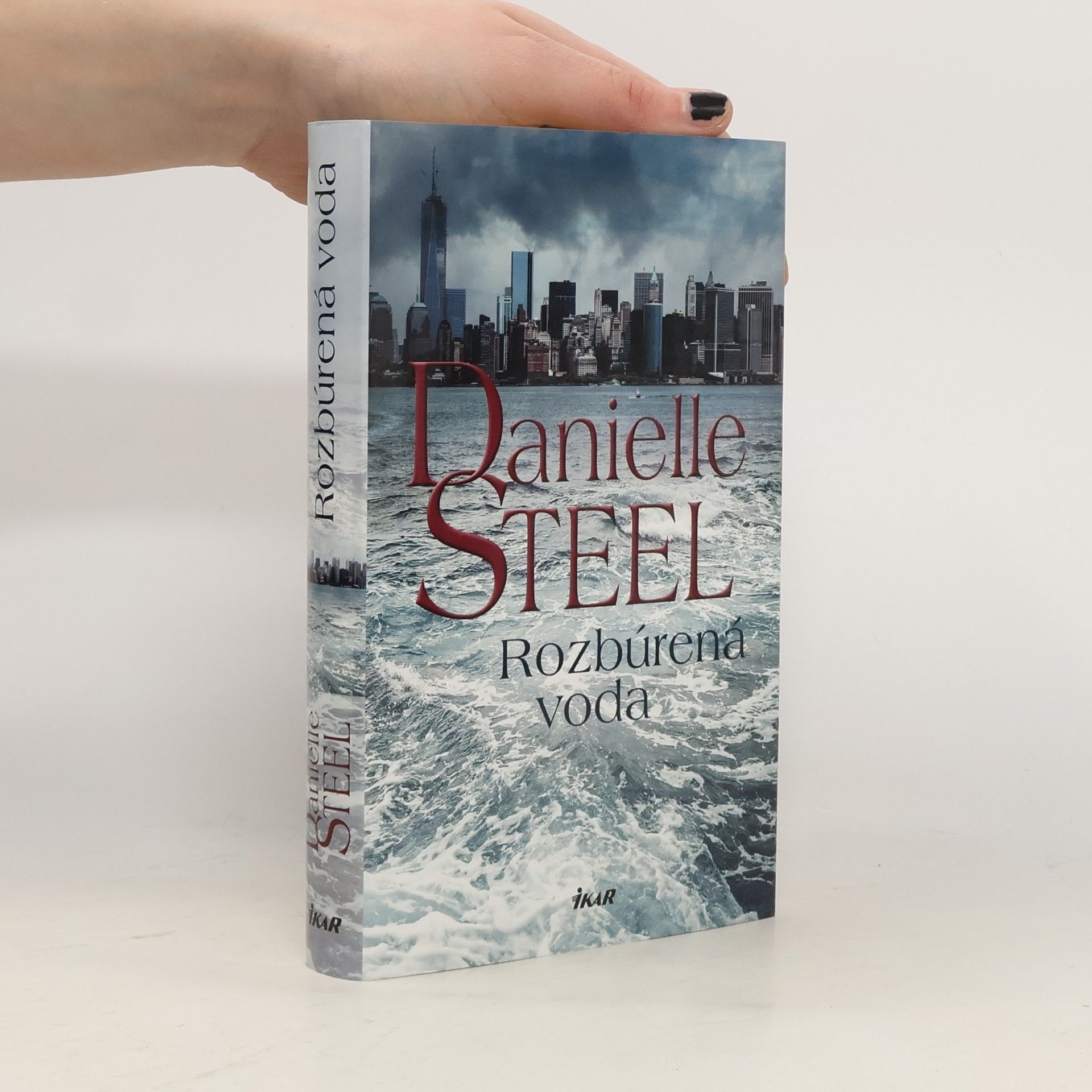 Danielle Steel Rozbúrená voda