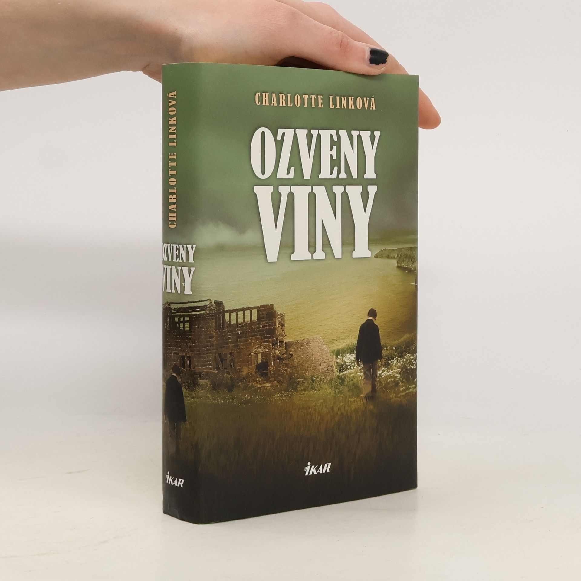 Charlotte Link Ozveny viny