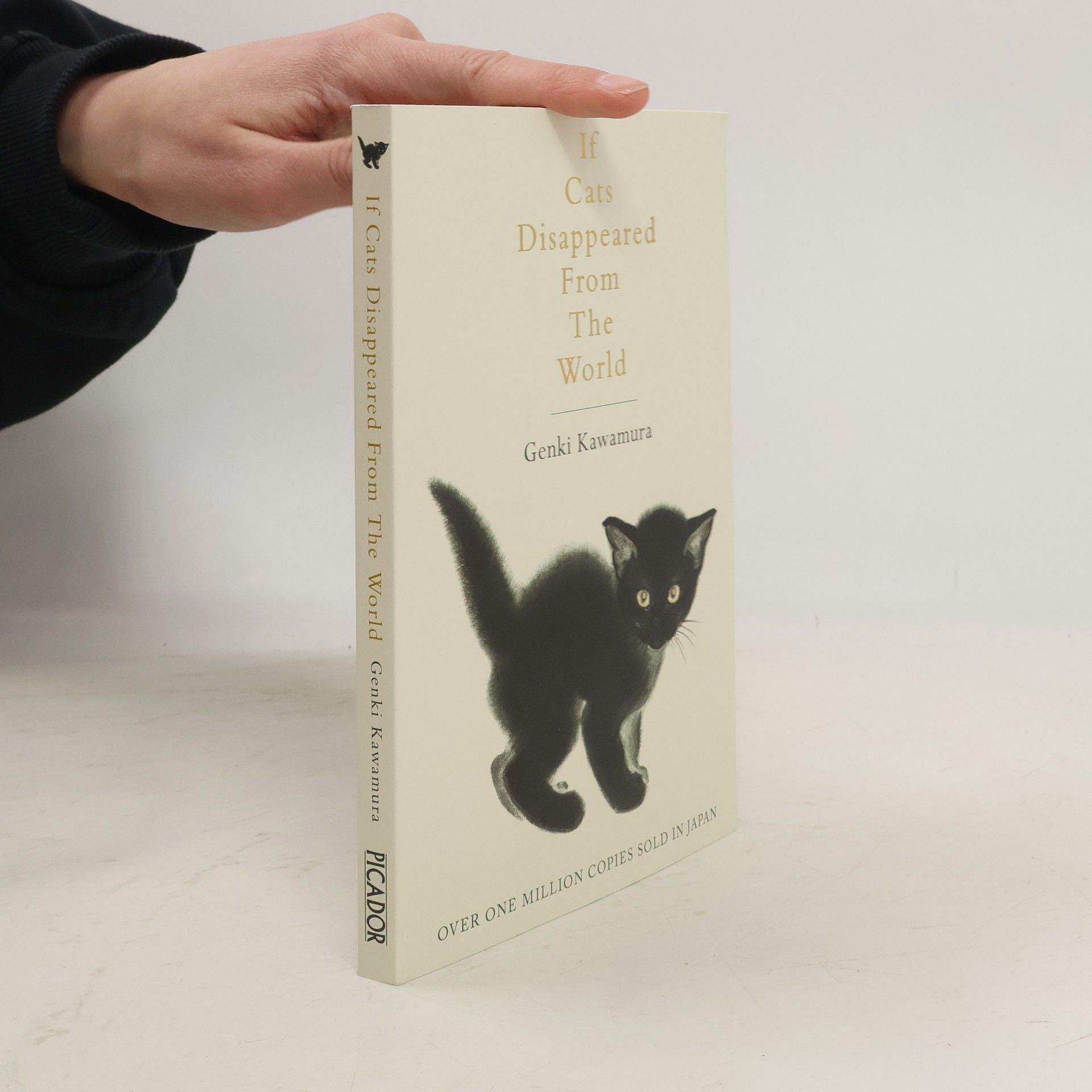 Genki Kawamura If Cats Disappeared from the World