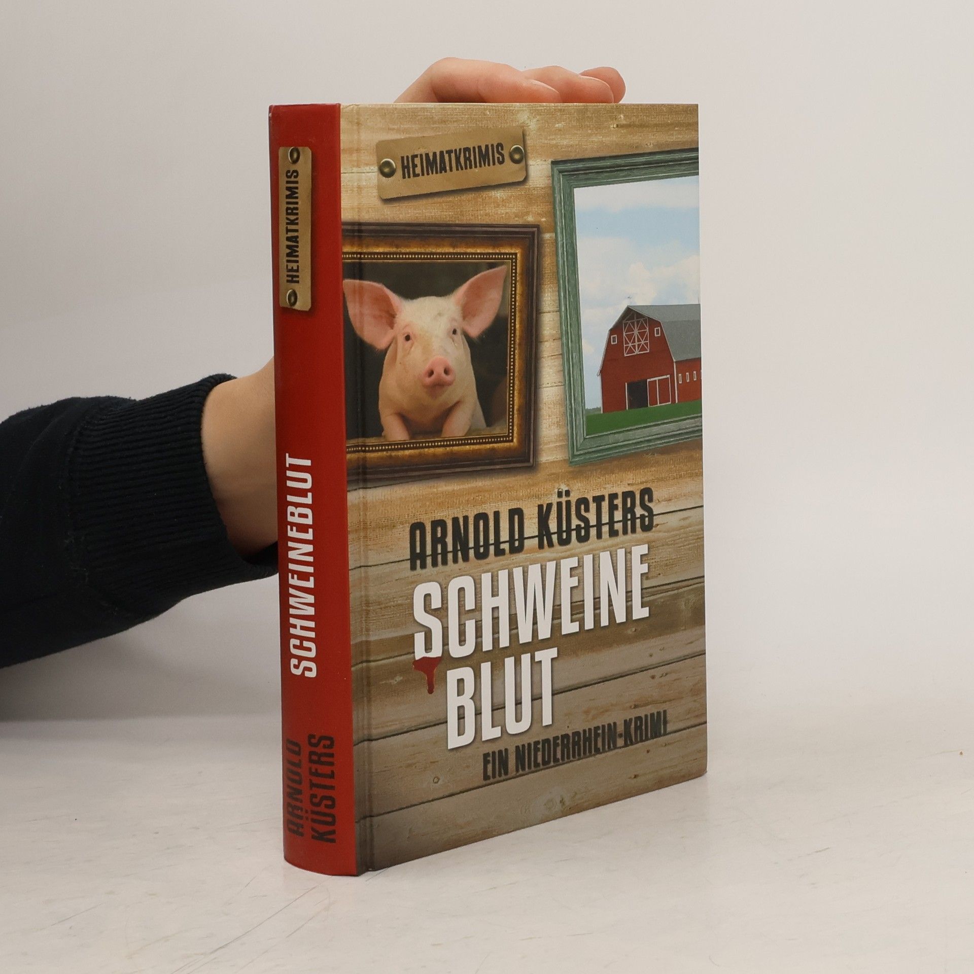 Arnold Küsters Schweineblut. Ein Niederrhein-Krimi