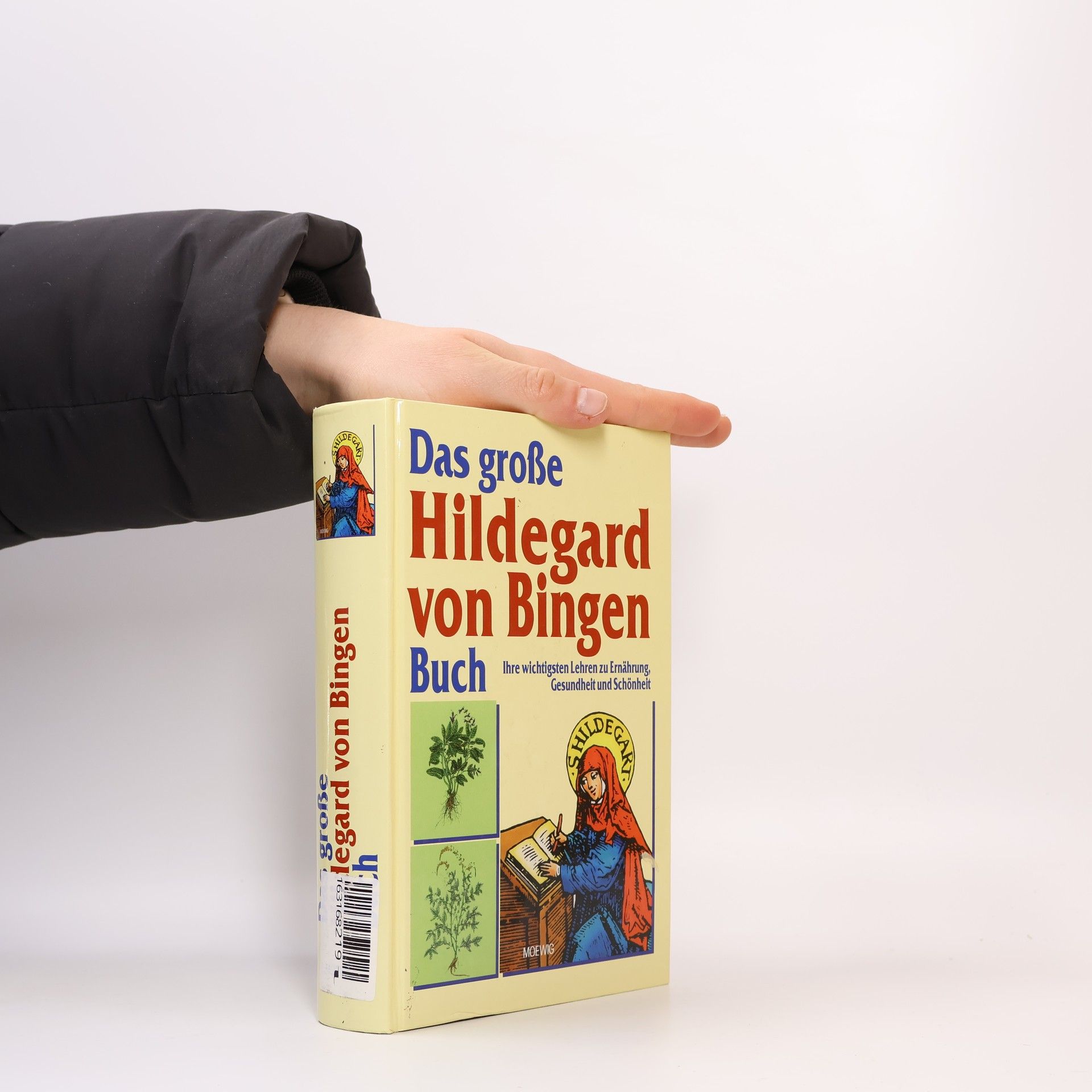 Heidelore Kluge Das große Hildegard-von-Bingen-Buch