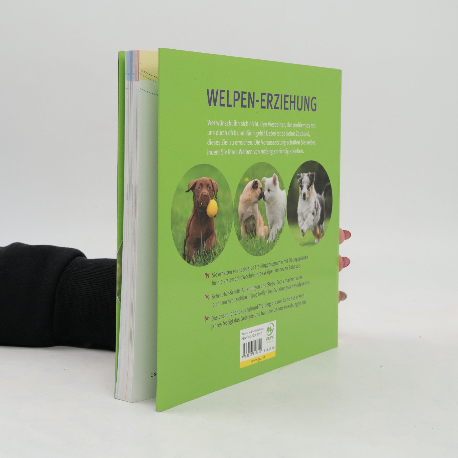 Katharina Schleg Kofler Welpen-Erziehung: Der 8-Wochen-Trainingsplan für Welpen. Plus Junghund-Training vom 5. bis 12. Monat