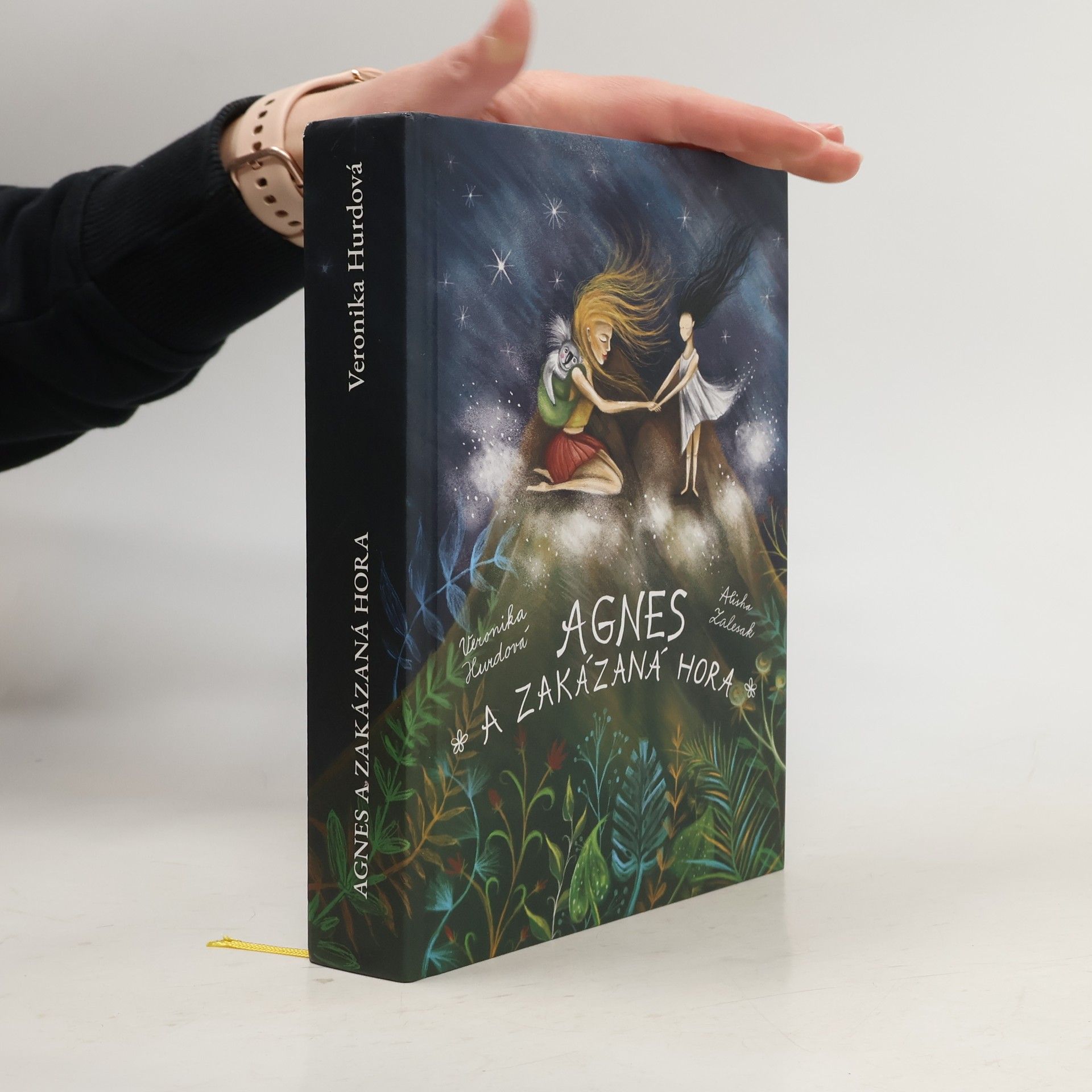 Veronika Hurdová Agnes a Zakázaná hora