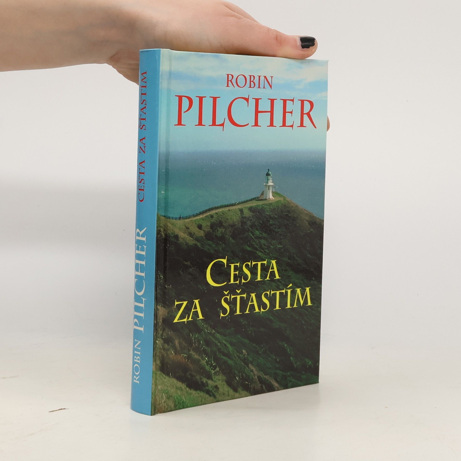 Robin Pilcher Cesta za šťastím
