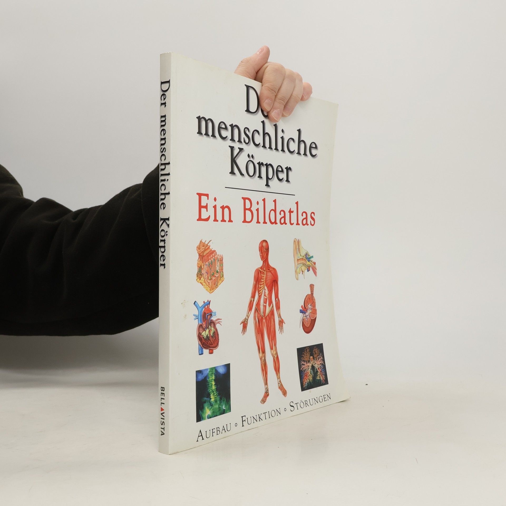 Autorenkollektiv Der menschliche Körper