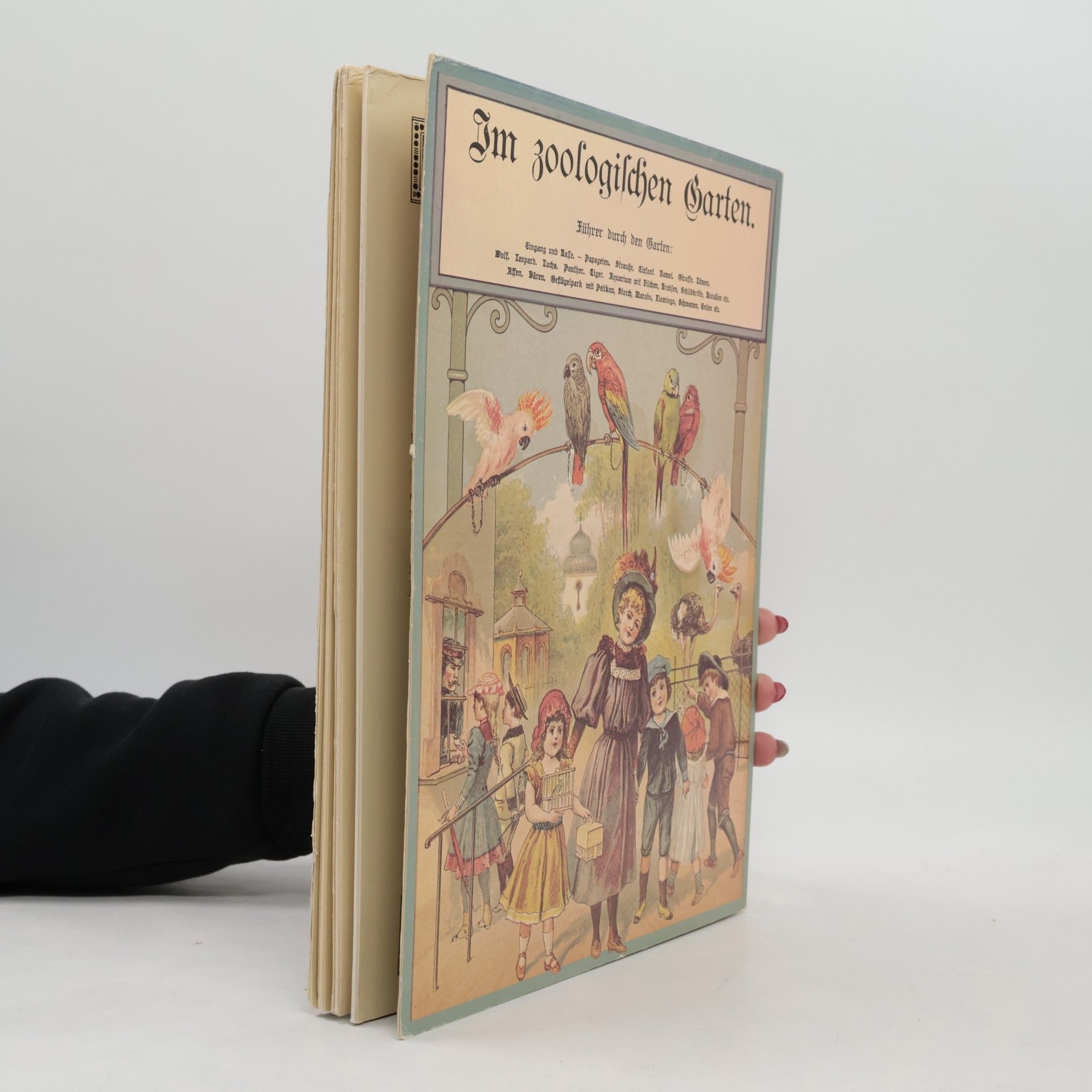 Autorenkollektiv Im zoologischen Garten