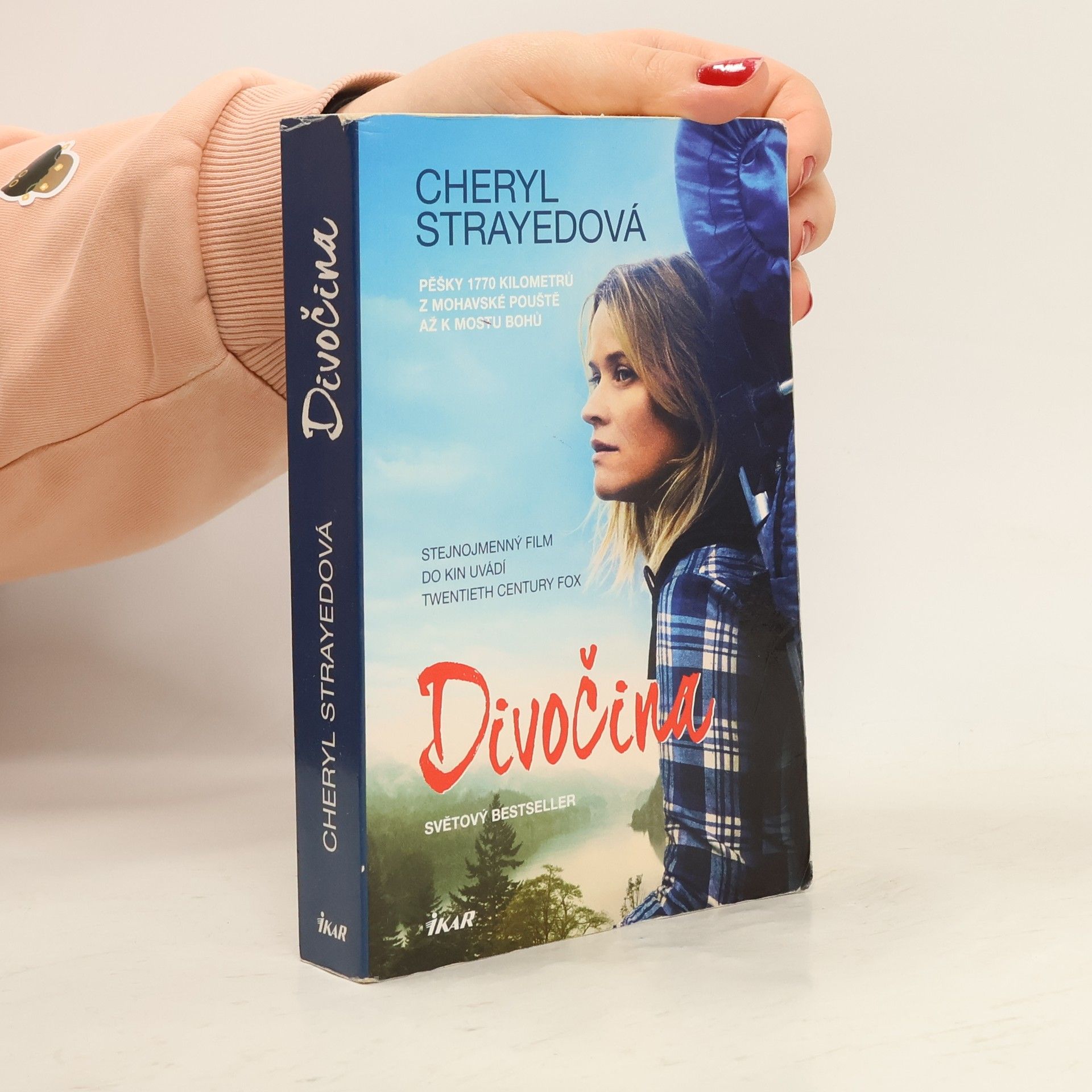 Cheryl Strayed Divočina. Pěšky 1770 kilometrů z Mohavské pouště až k mostu bohů