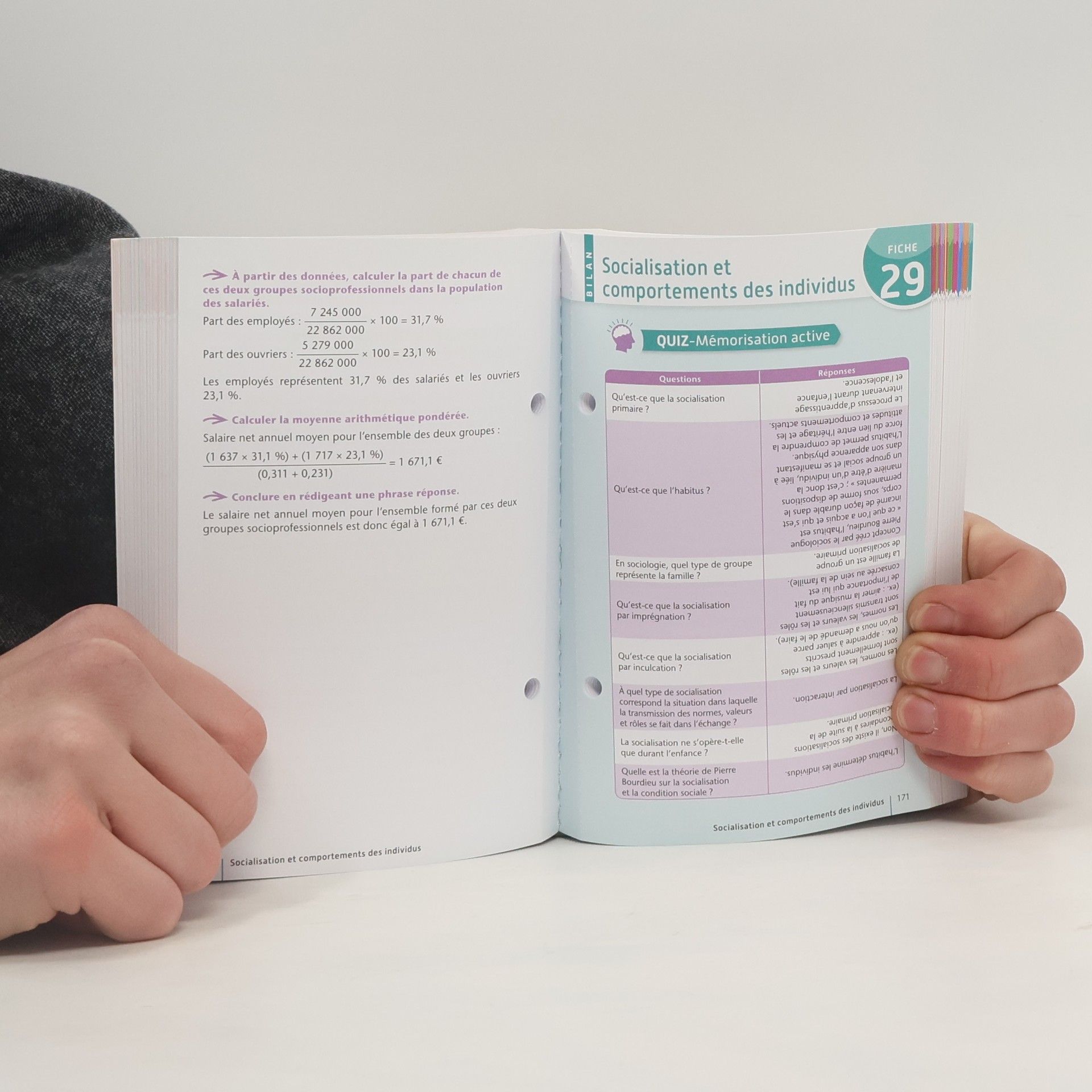 Vito Punta Fiches Spécial Bac - 1re: Maths, SES, histoire-géographie, géopolitique, sciences politiques 1re