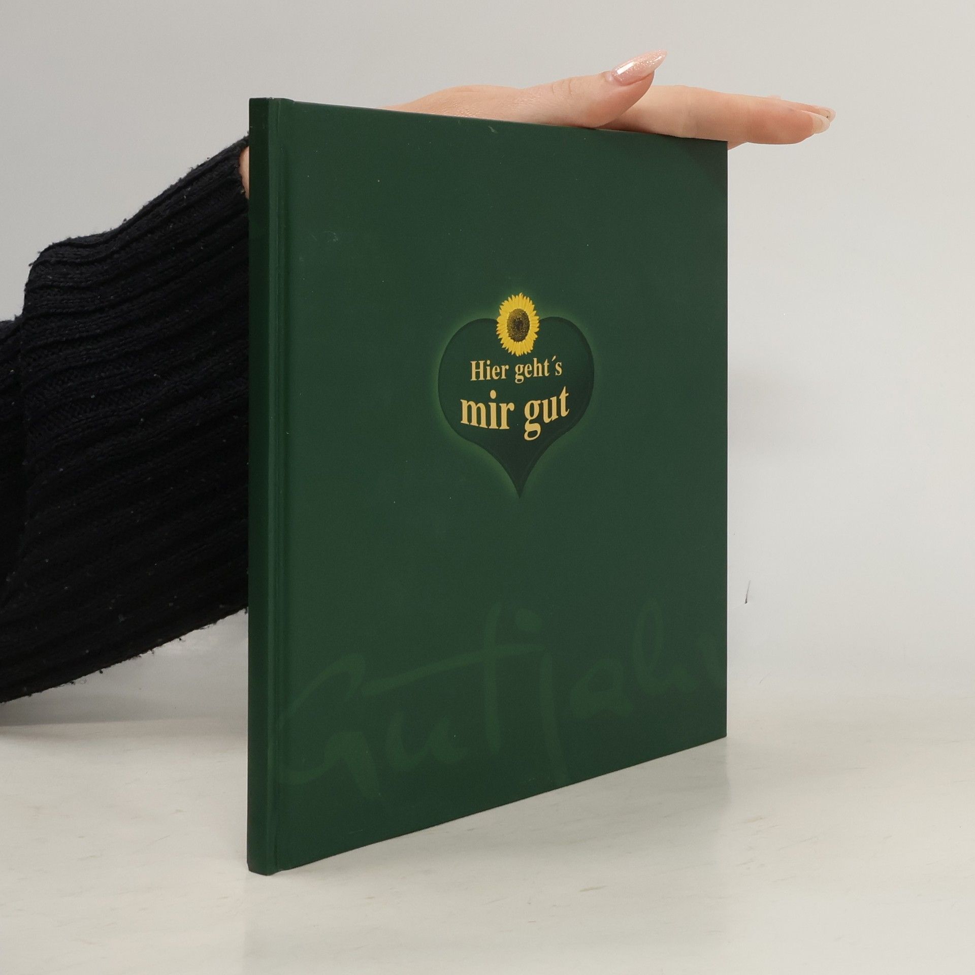 Autorenkollektiv Hier geht's mir gut